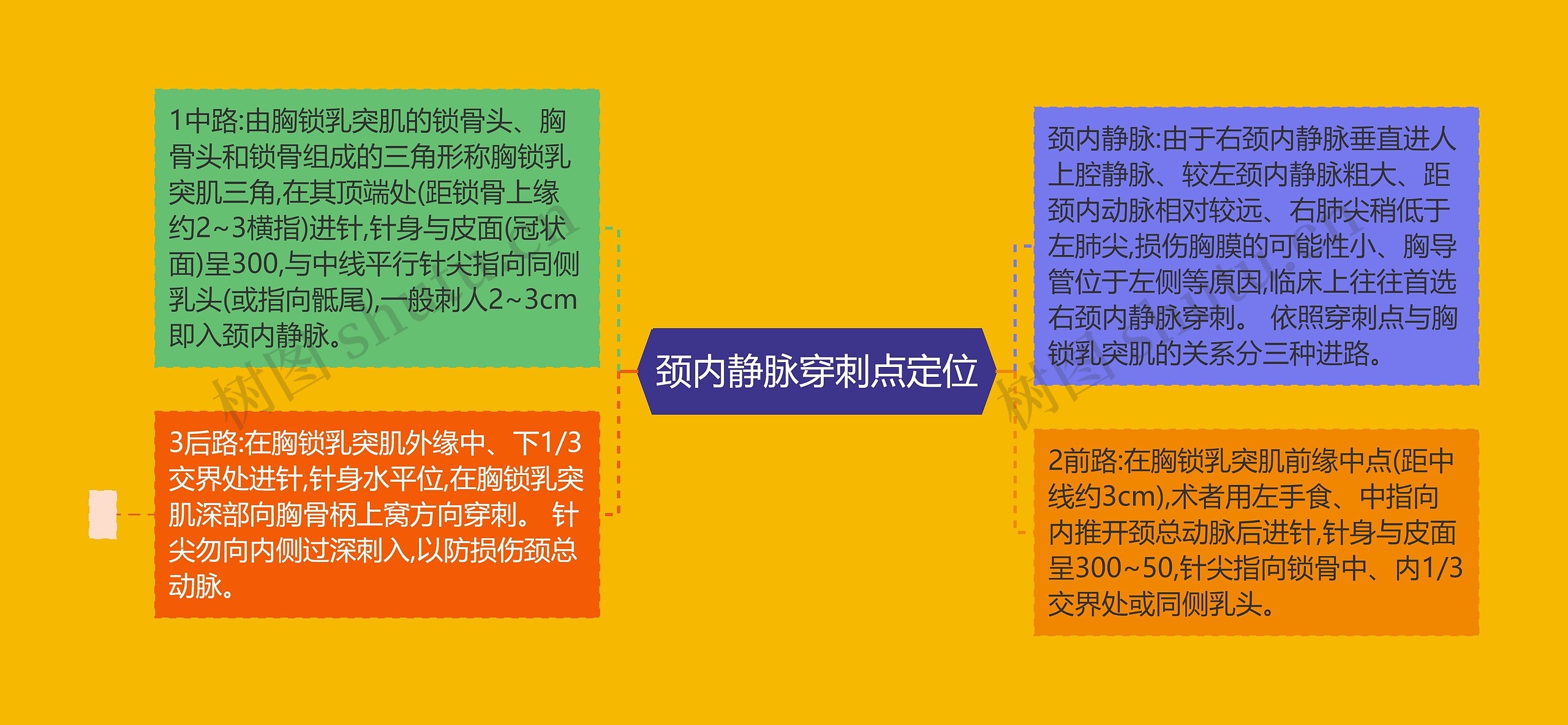颈内静脉穿刺点定位 颈内静脉穿刺点定位