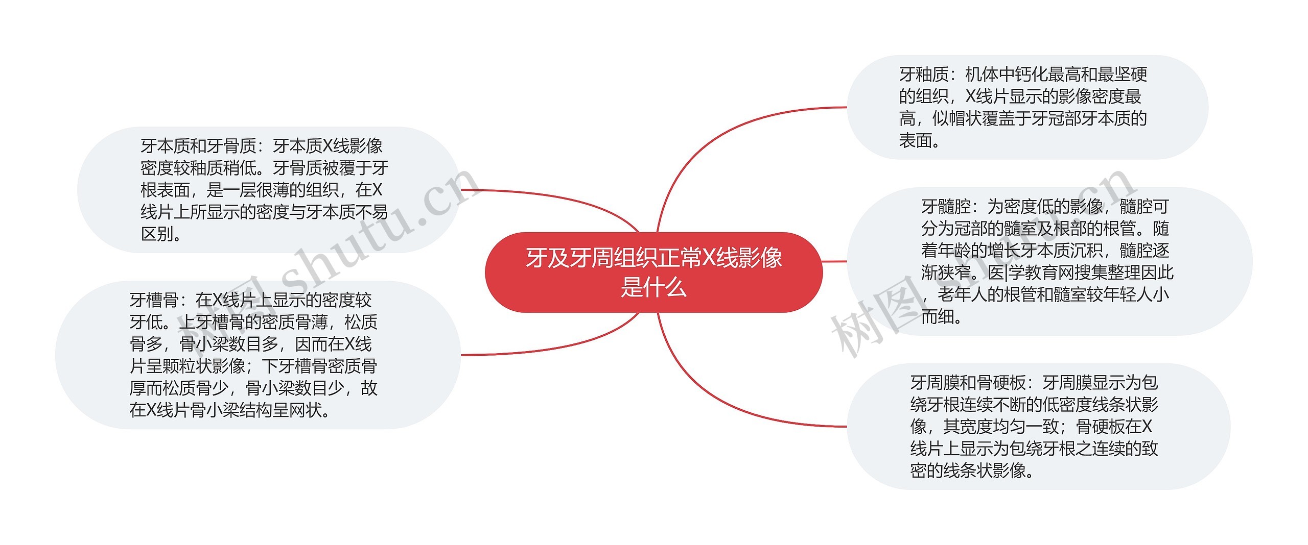 牙及牙周组织正常X线影像是什么思维导图