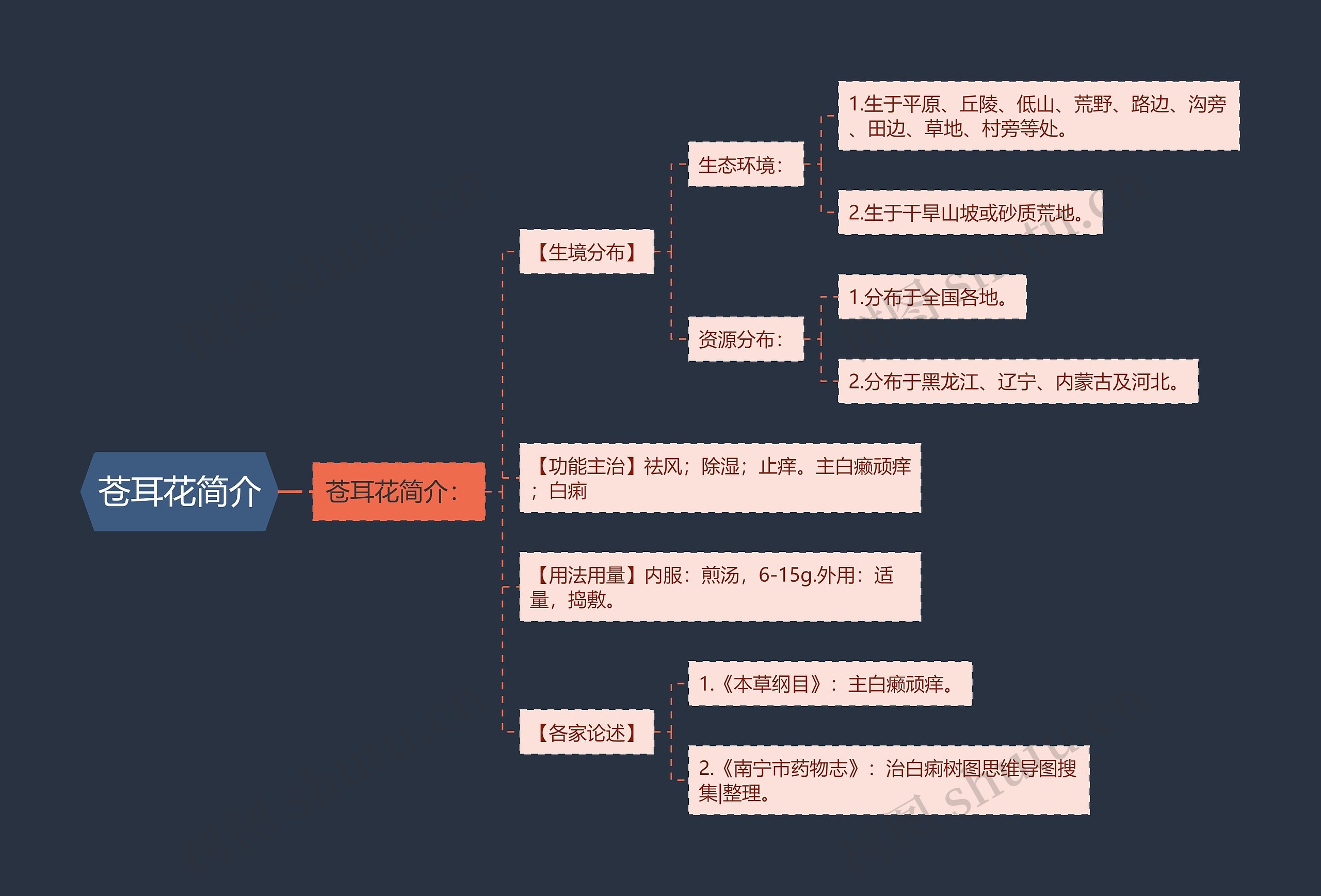 苍耳花简介 苍耳花简介