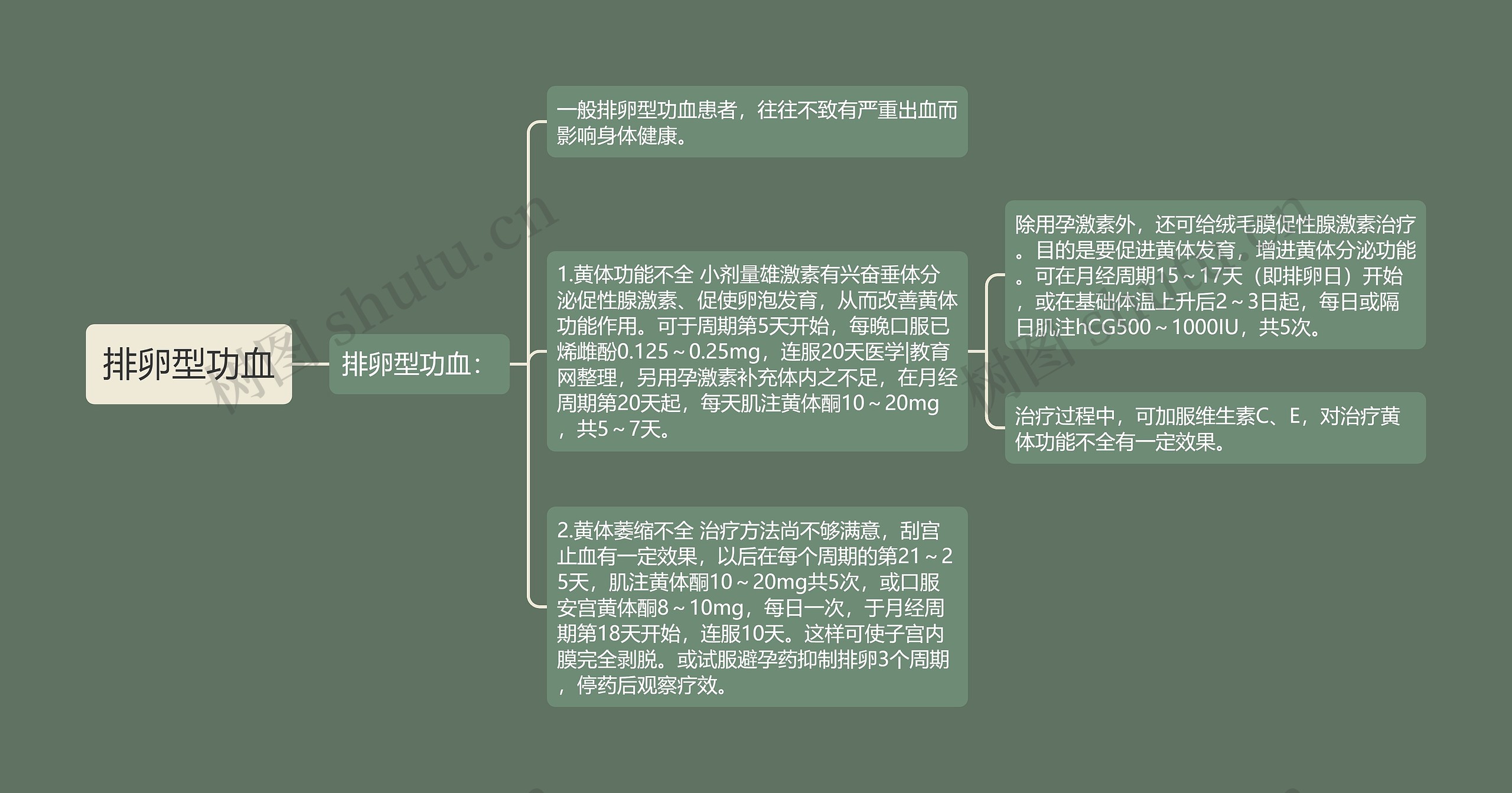 排卵型功血思维导图