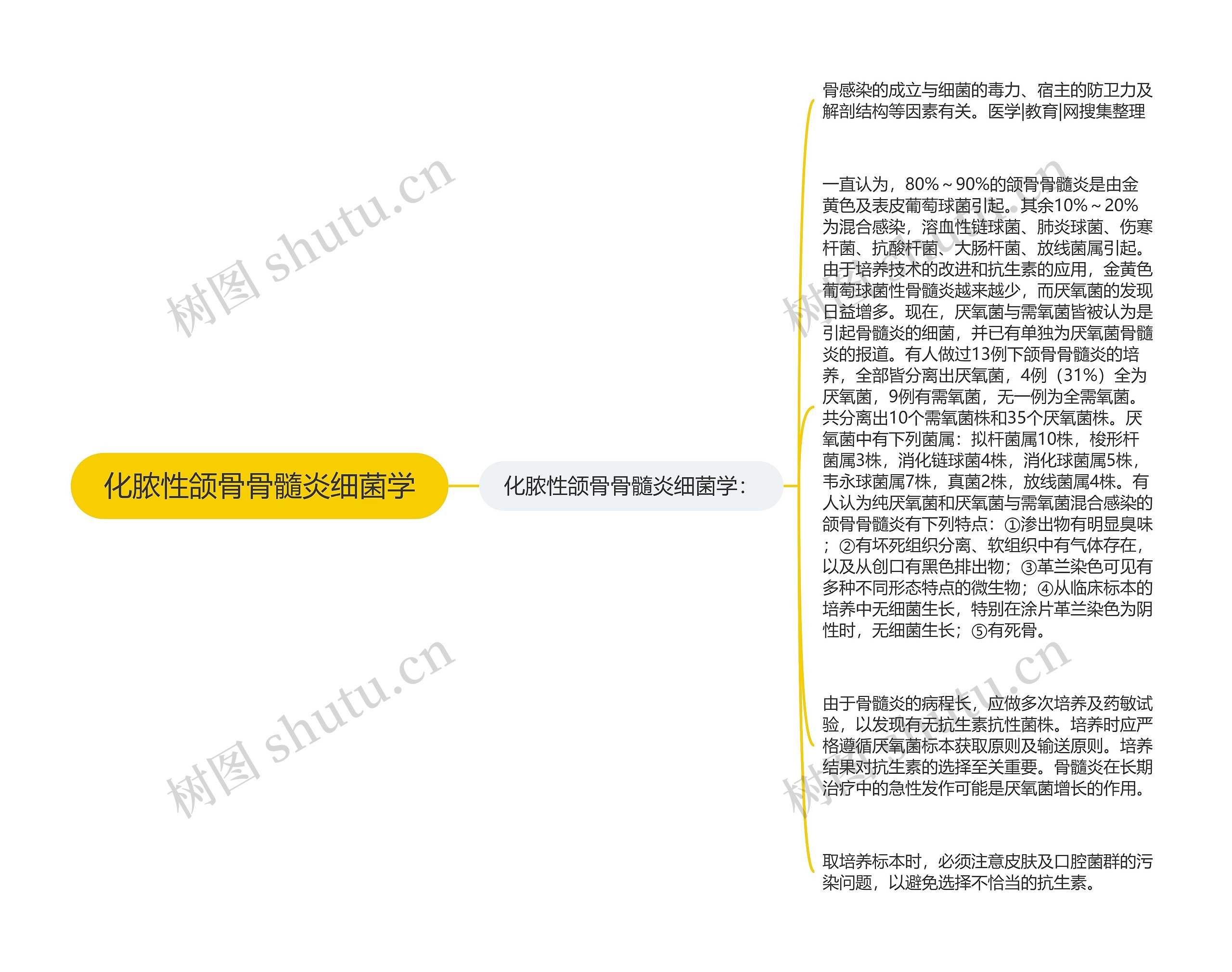 化脓性颌骨骨髓炎细菌学