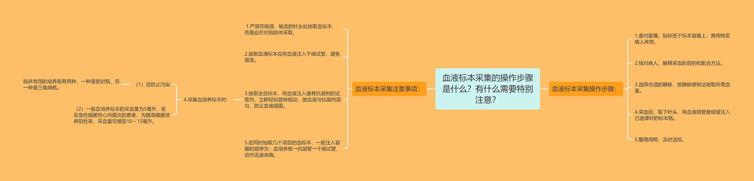 血液标本采集的操作步骤是什么？有什么需要特别注意？思维导图