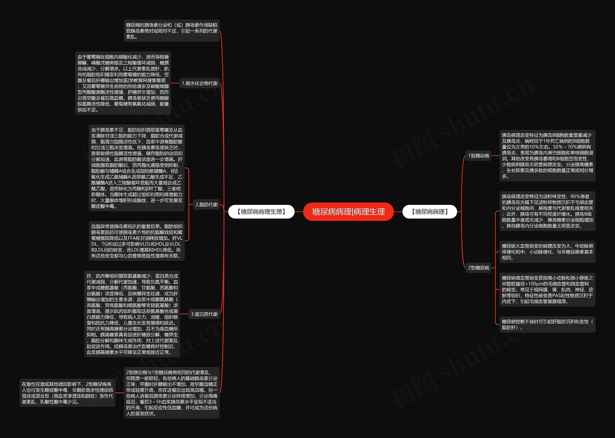 糖尿病病理|病理生理 糖尿病病理|病理生理