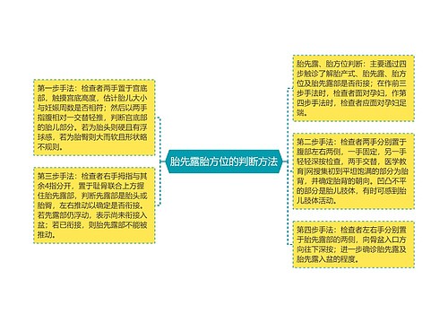 胎先露胎方位的判断方法