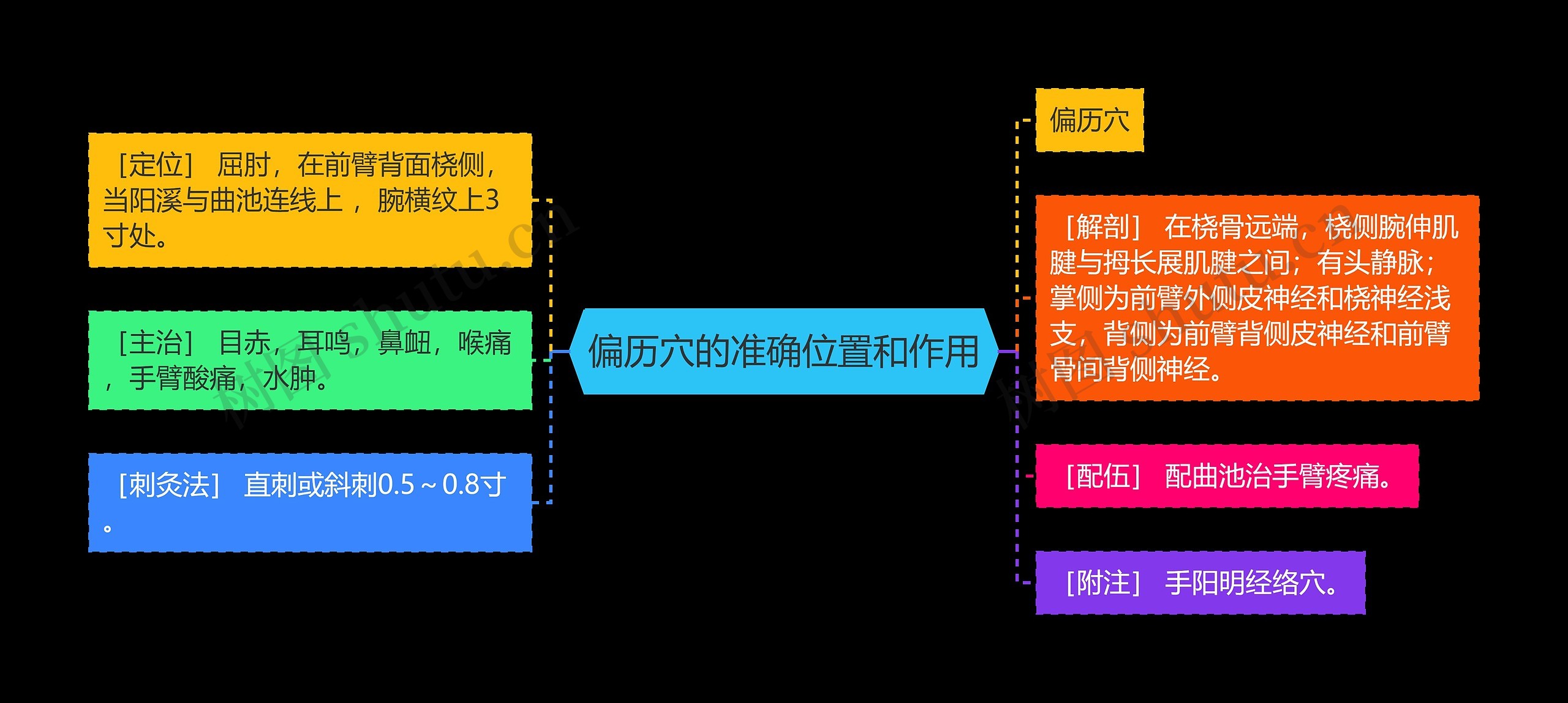 偏历穴的准确位置和作用思维导图