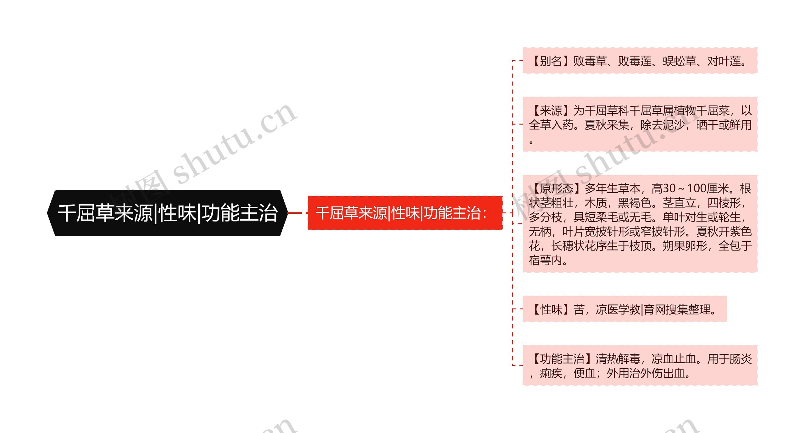 千屈草来源|性味|功能主治思维导图