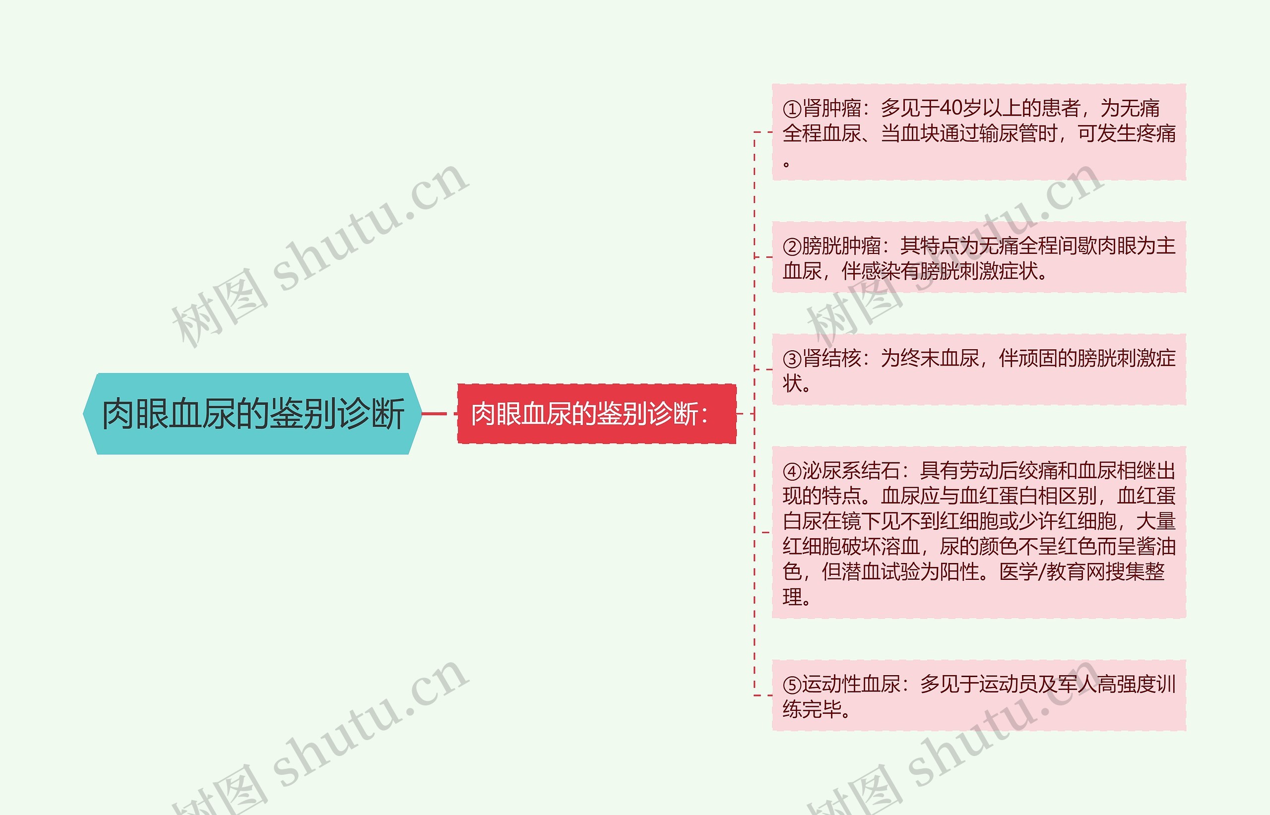 肉眼血尿的鉴别诊断思维导图