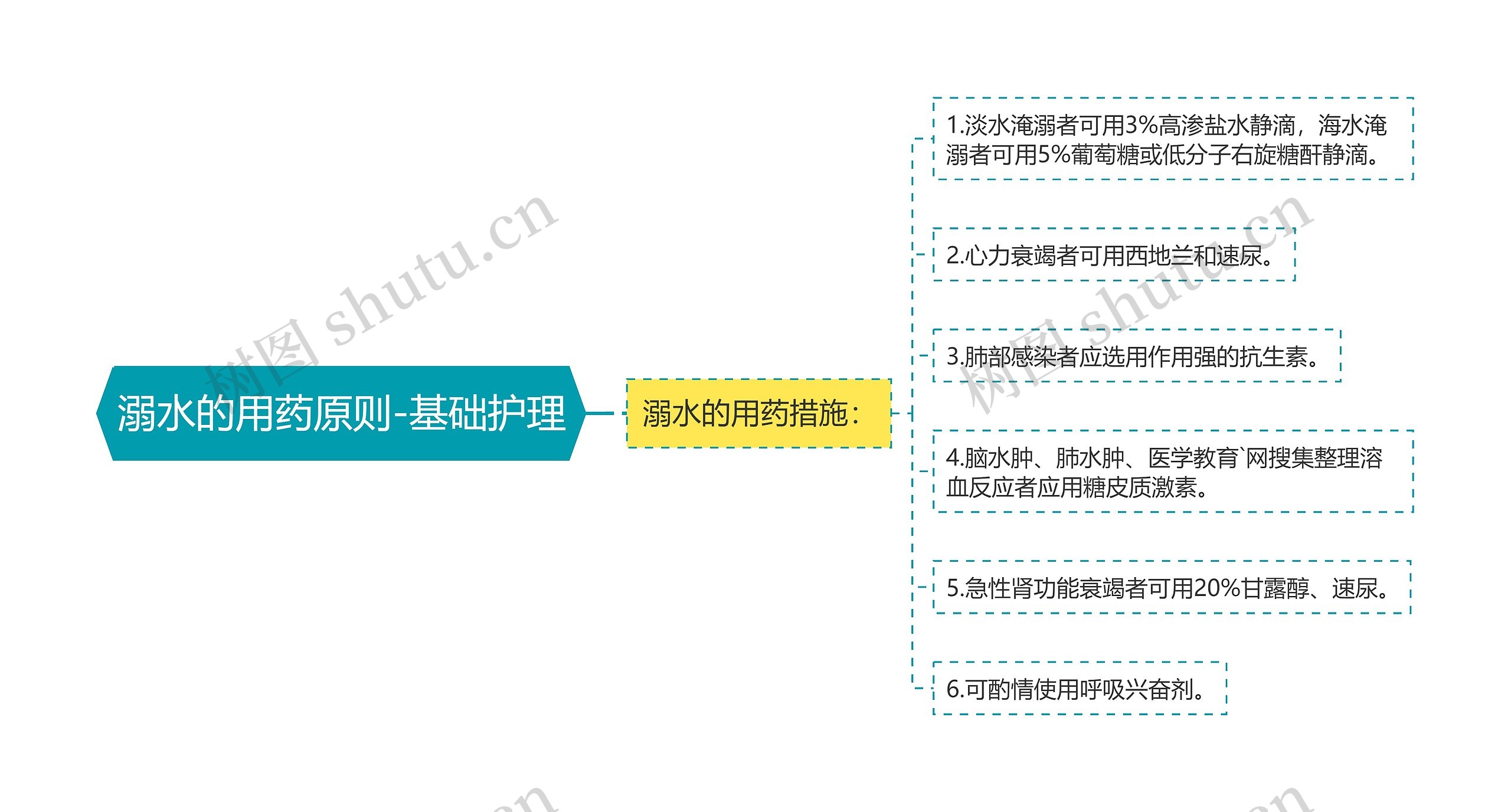 溺水的用药原则-基础护理思维导图