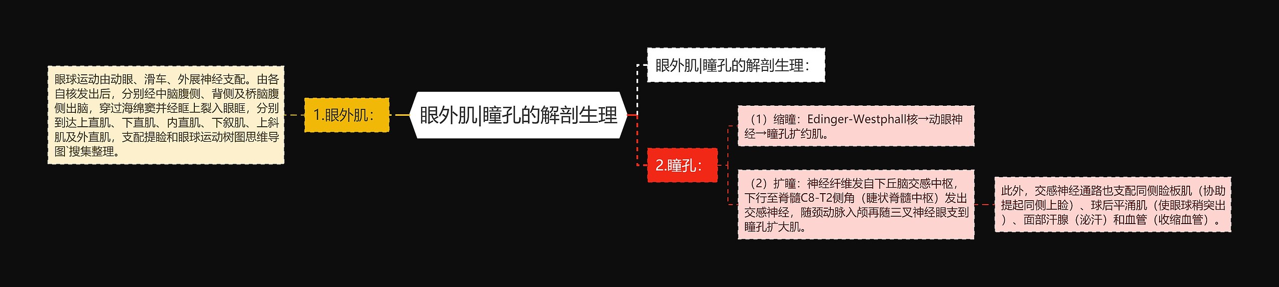 眼外肌|瞳孔的解剖生理思维导图