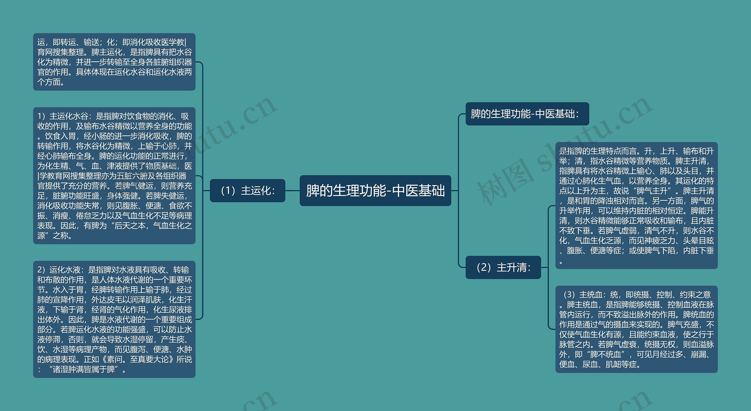 脾的生理功能-中医基础 脾的生理功能-中医基础