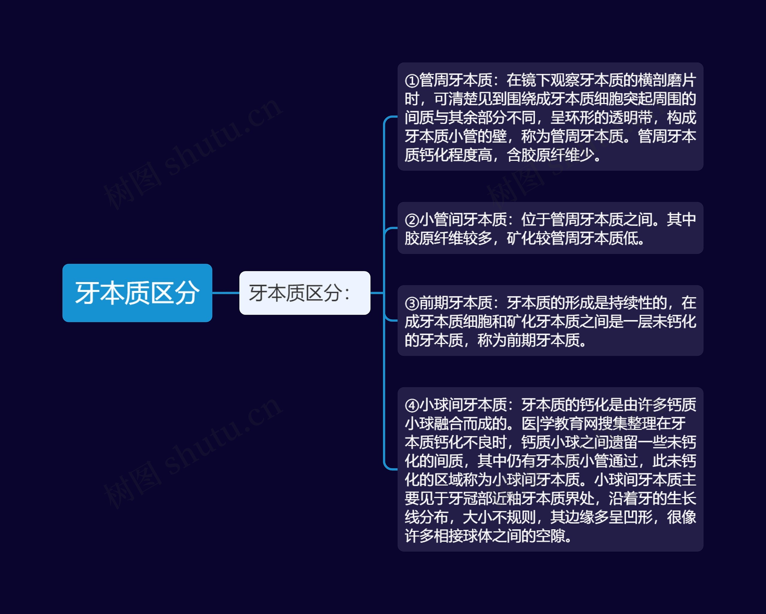 牙本质区分思维导图