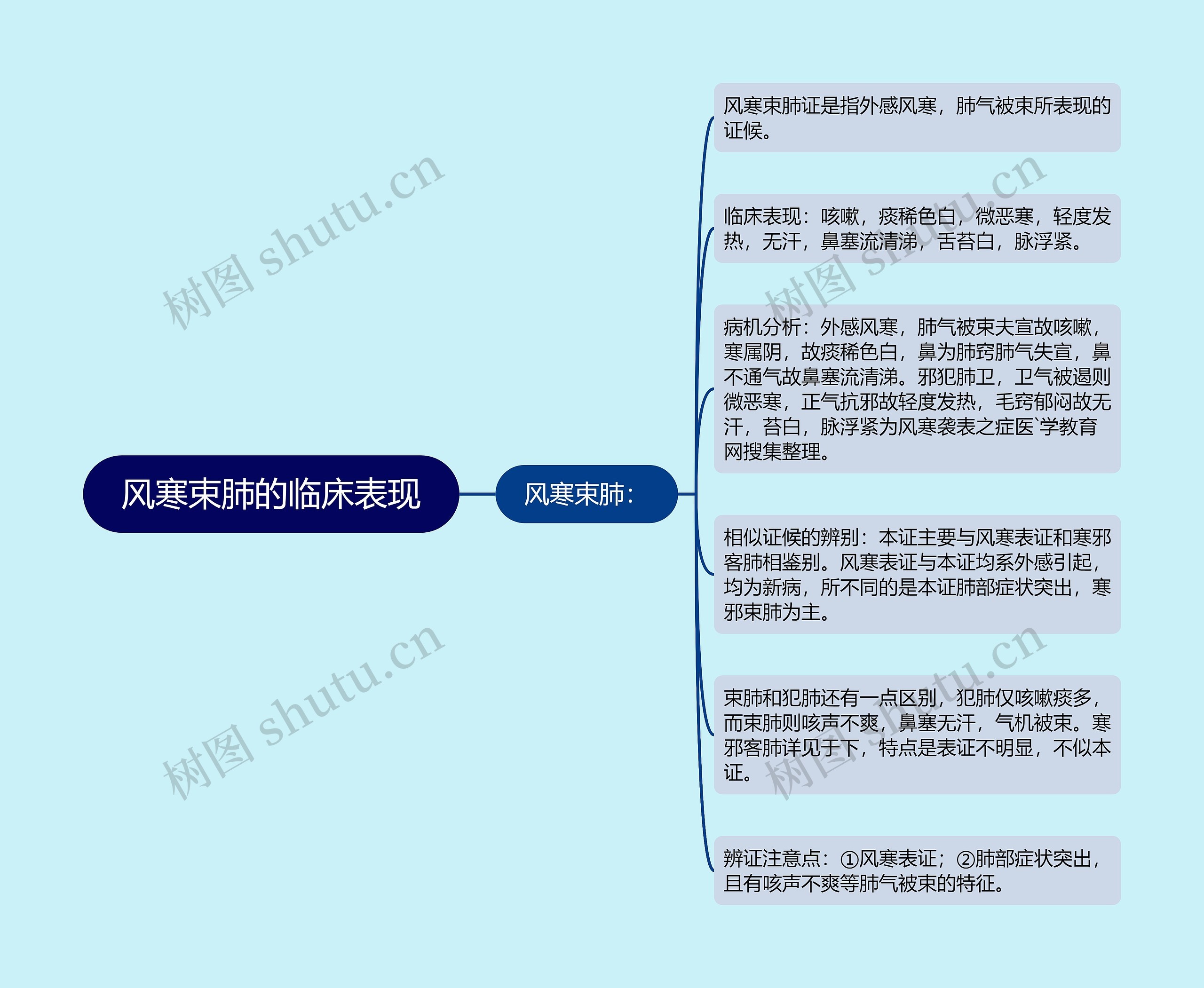 风寒束肺的临床表现