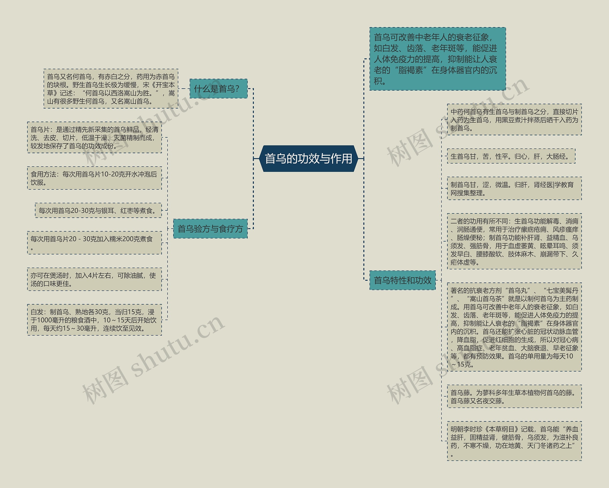 首乌的功效与作用 首乌的功效与作用