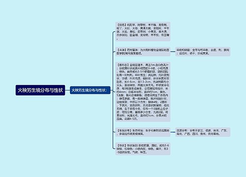 火秧竻生境分布与性状