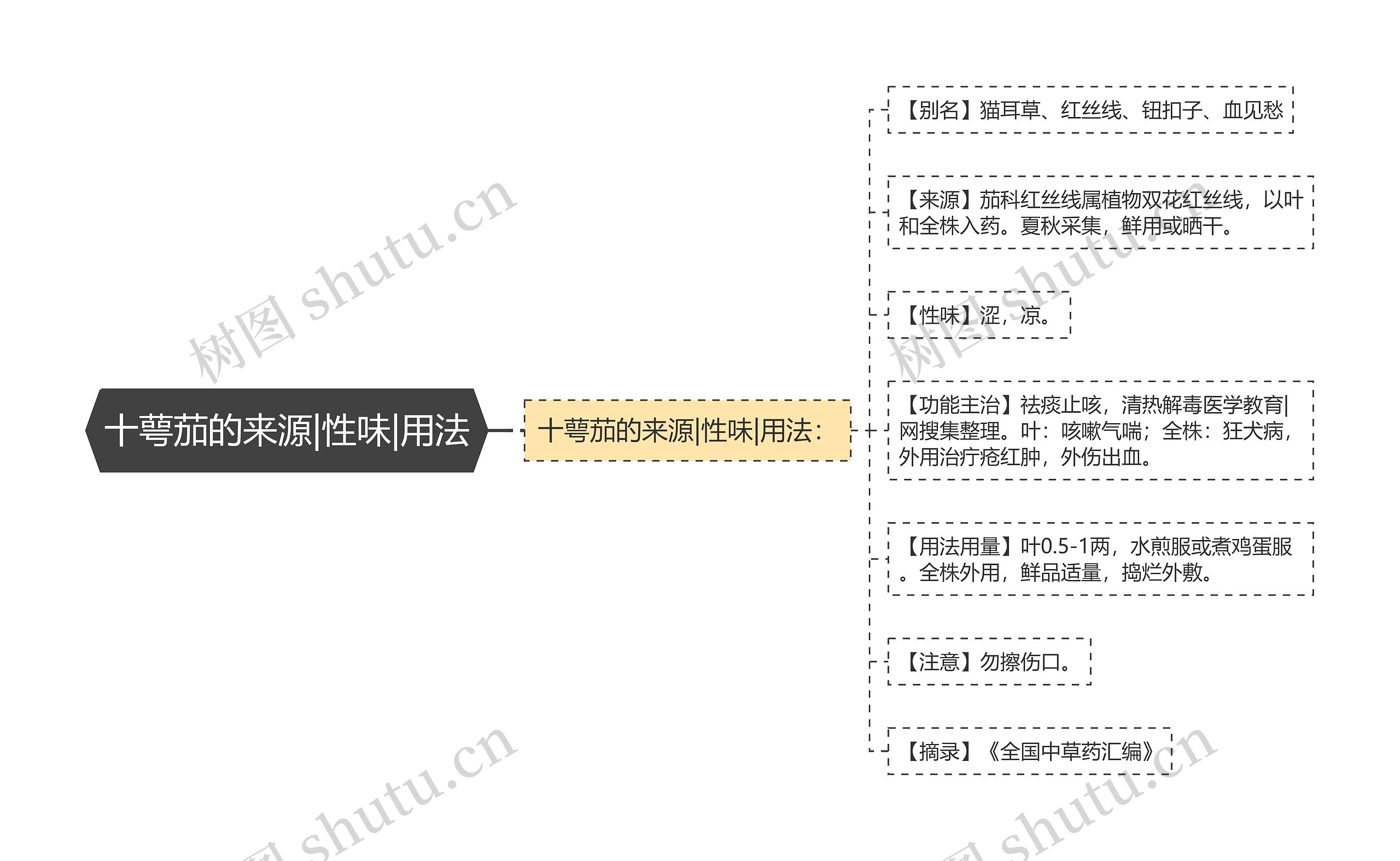 十萼茄的来源|性味|用法