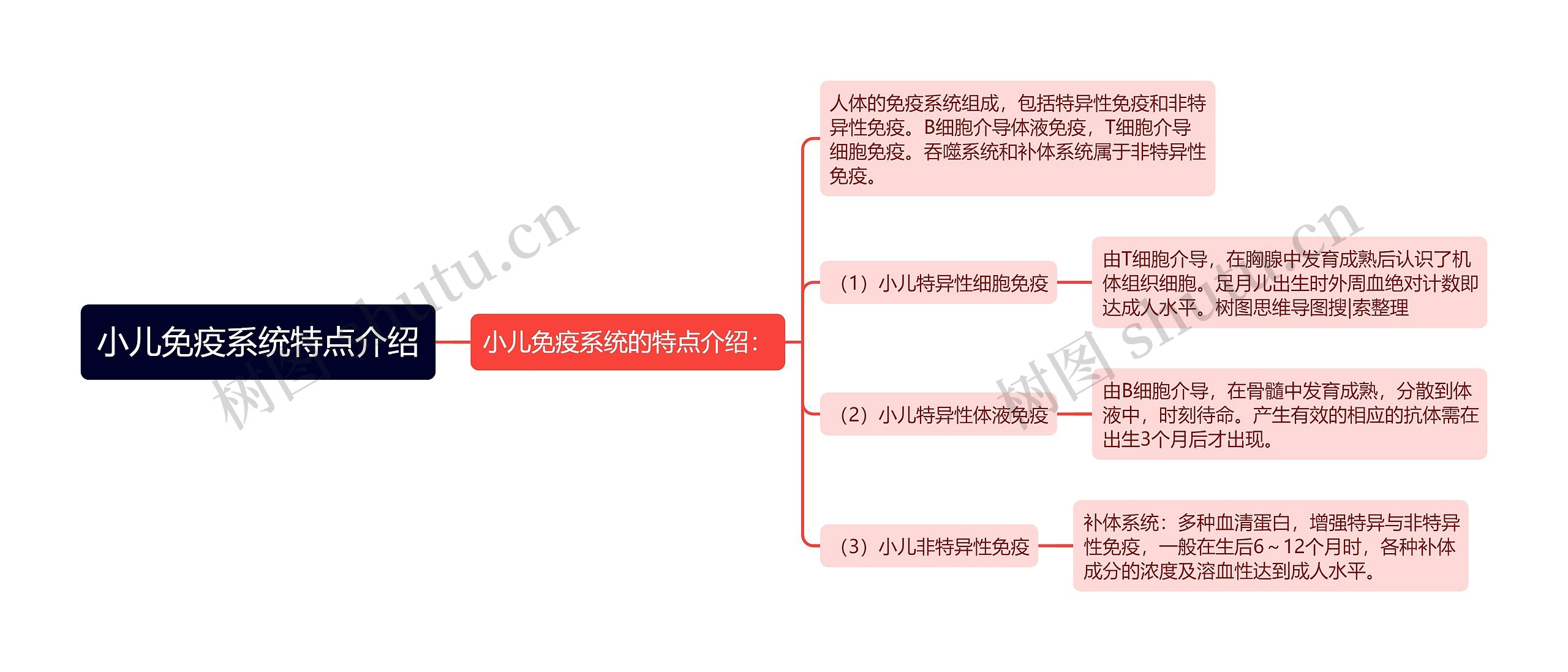 小儿免疫系统特点介绍