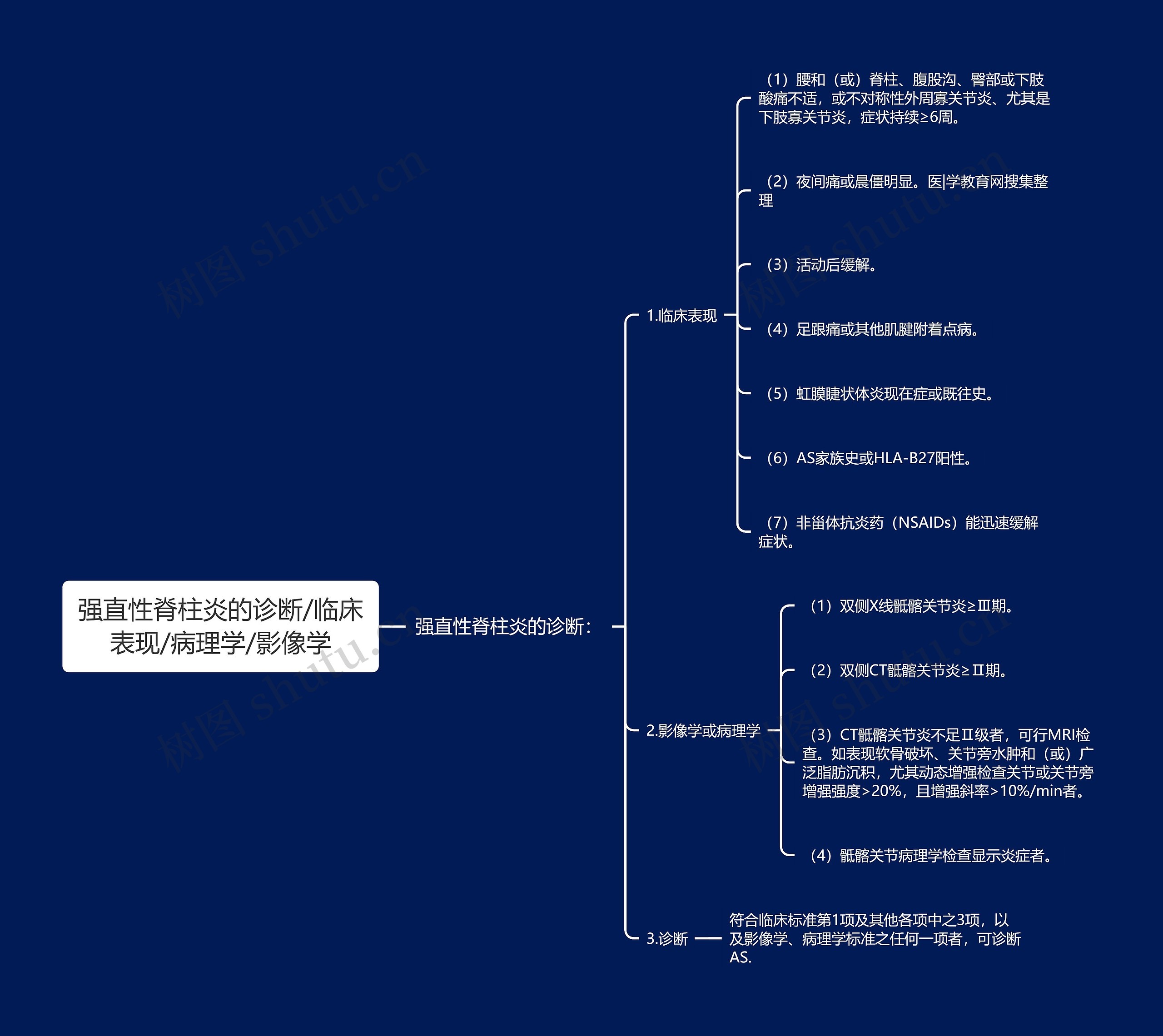 强直性脊柱炎的诊断/临床表现/病理学/影像学