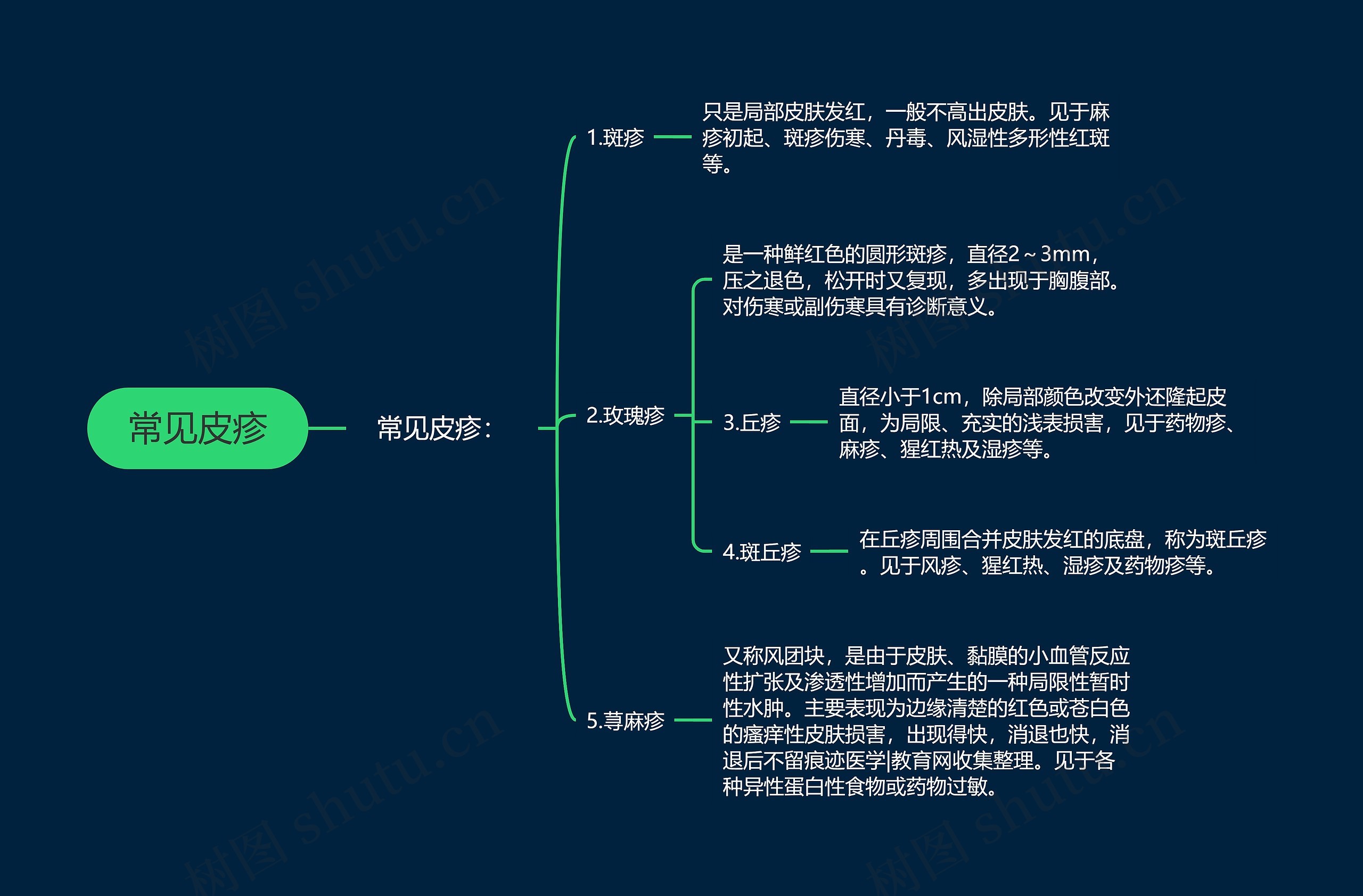 常见皮疹