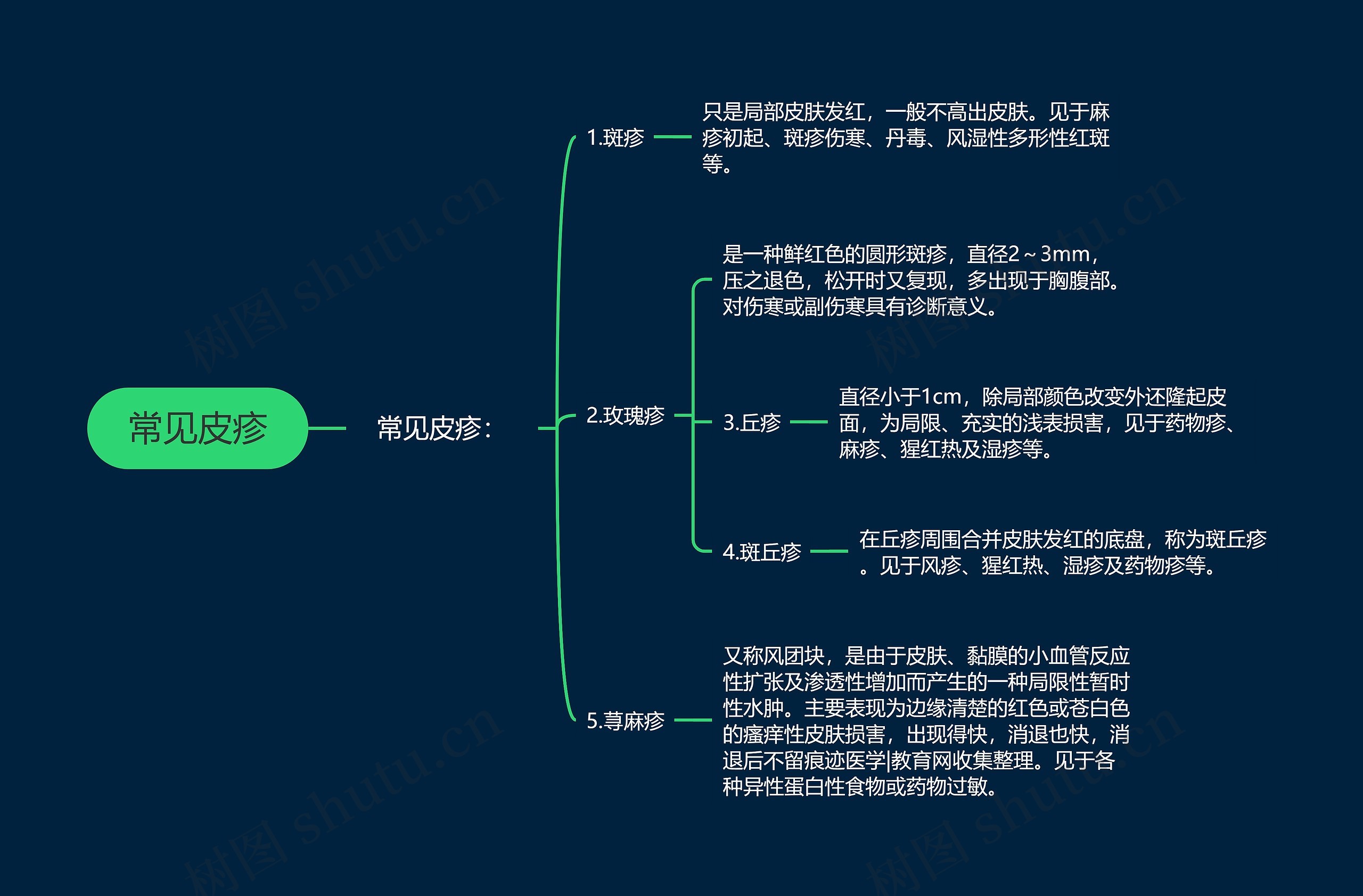 常见皮疹思维导图