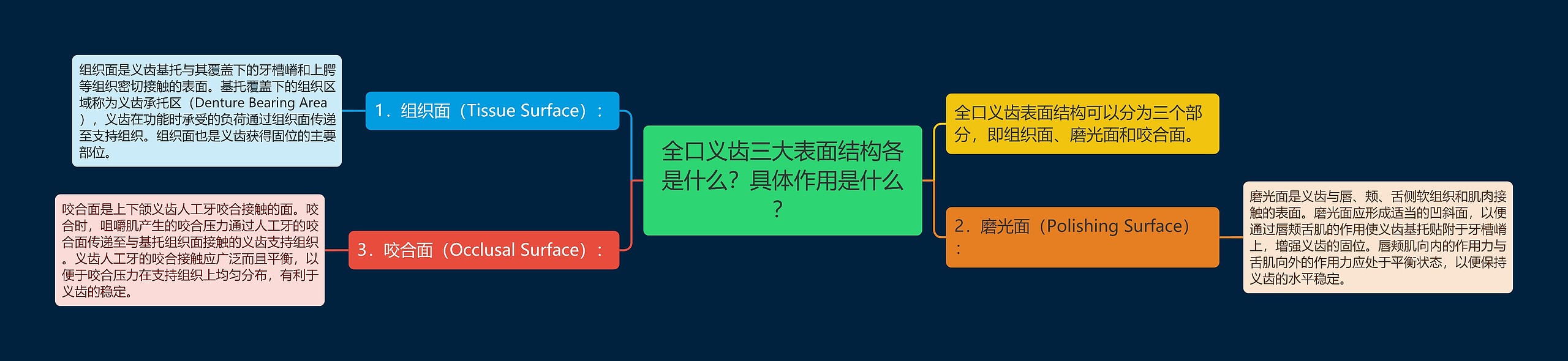 全口义齿三大表面结构各是什么？具体作用是什么？