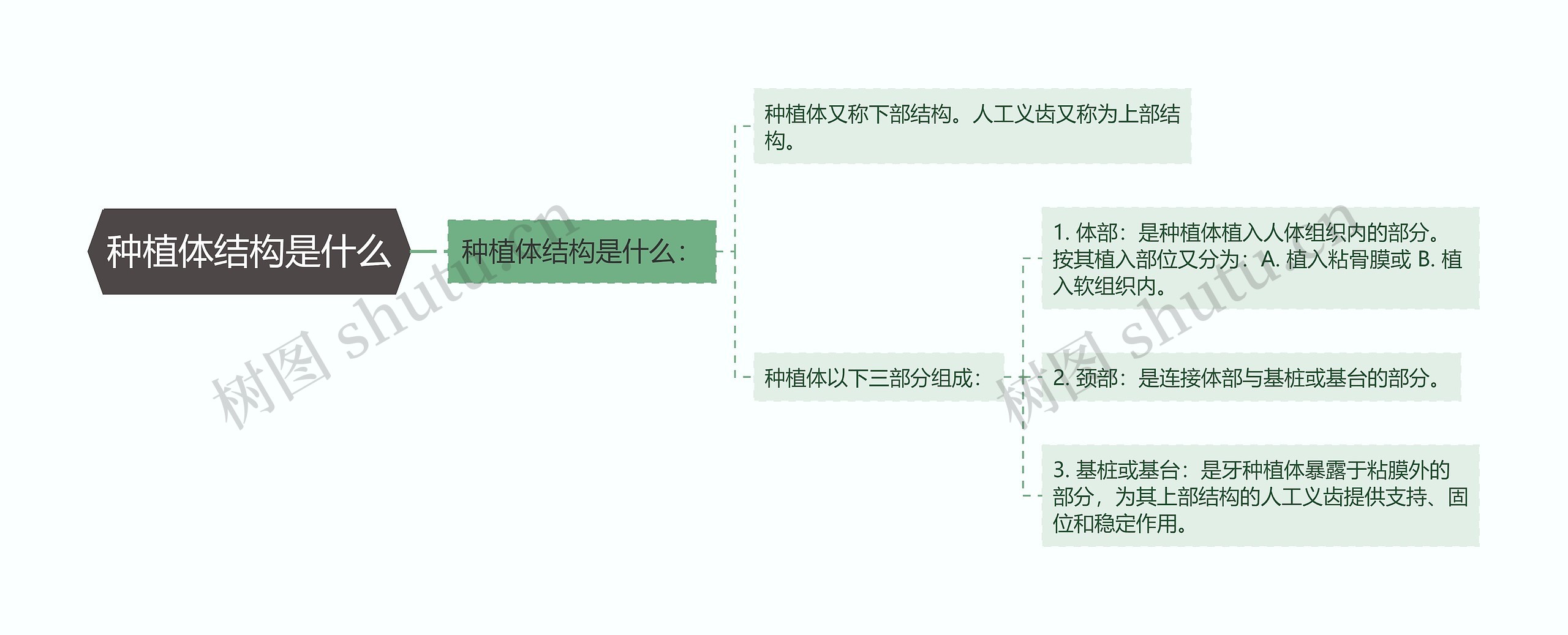 种植体结构是什么