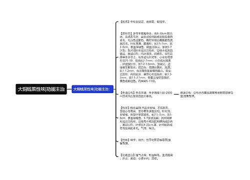 大铜钱菜性味|功能主治