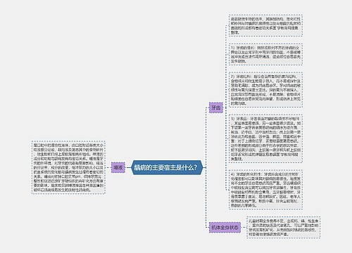 龋病的主要宿主是什么？