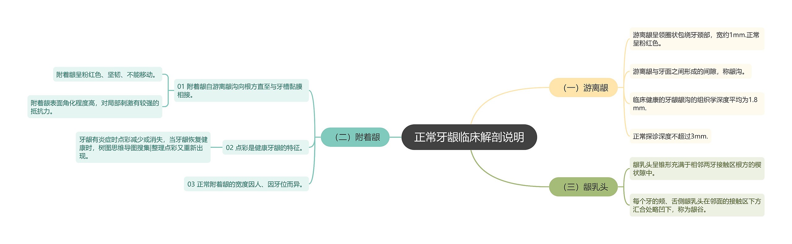 正常牙龈临床解剖说明思维导图