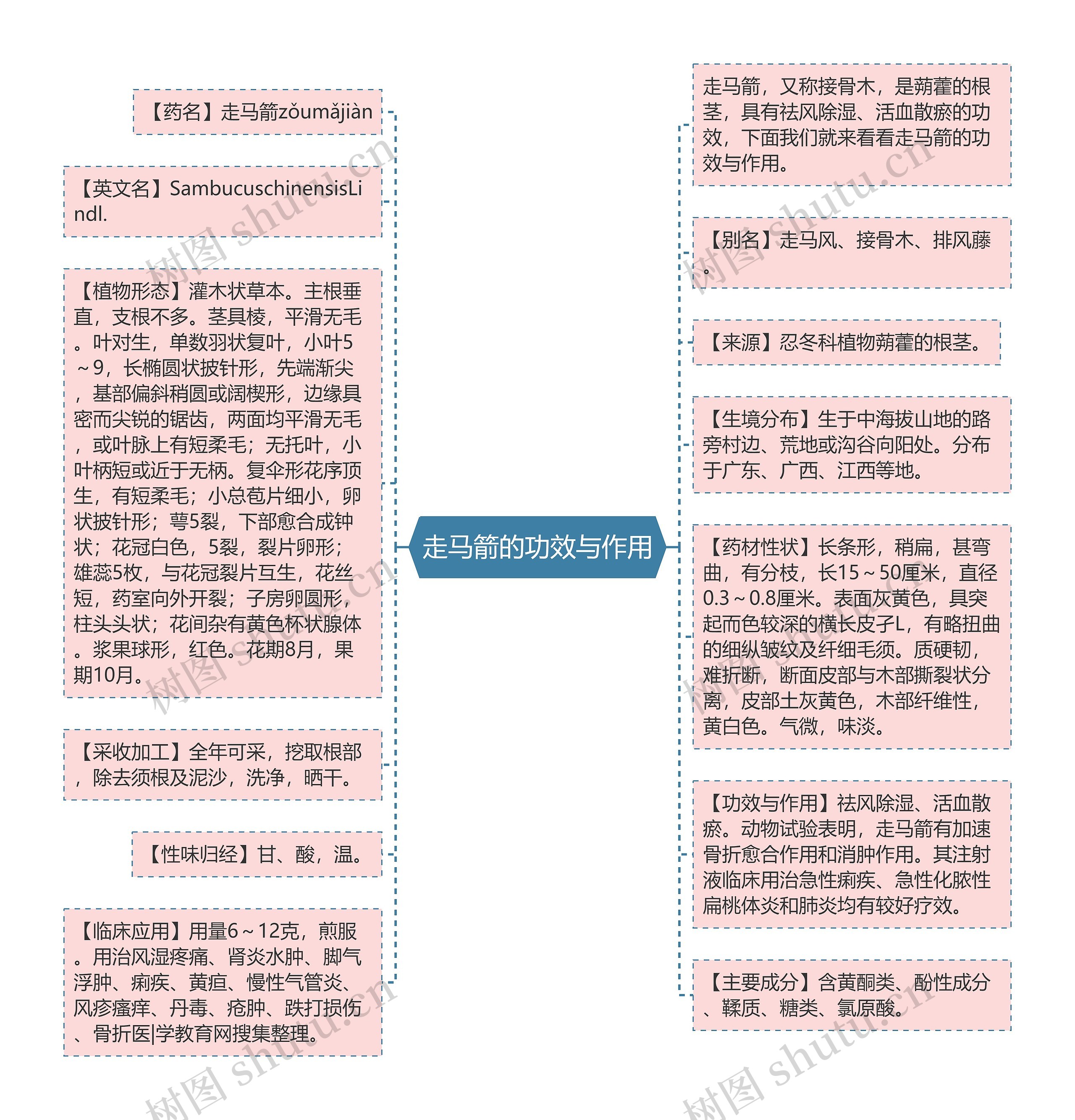 走马箭的功效与作用思维导图