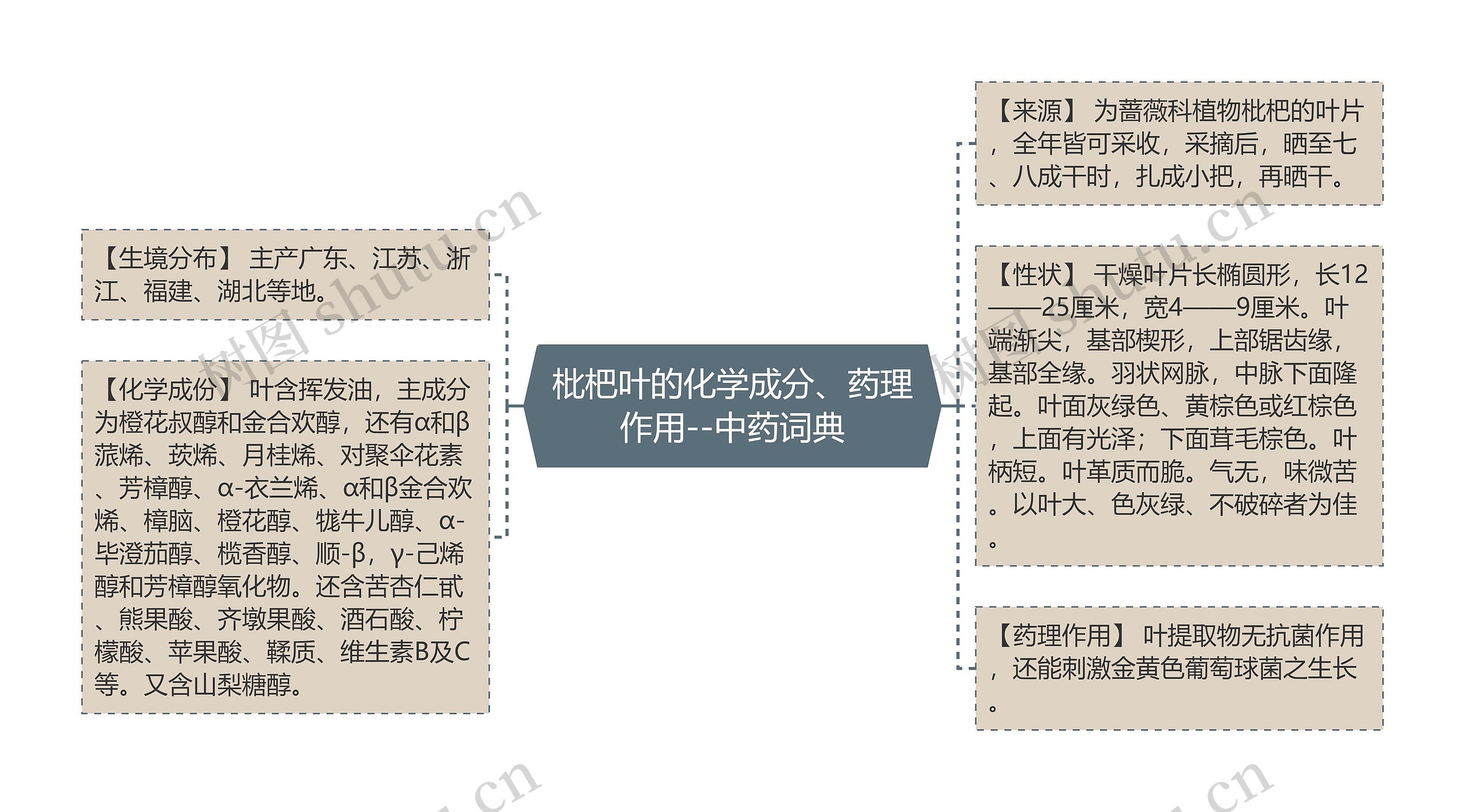 枇杷叶的化学成分、药理作用--中药词典