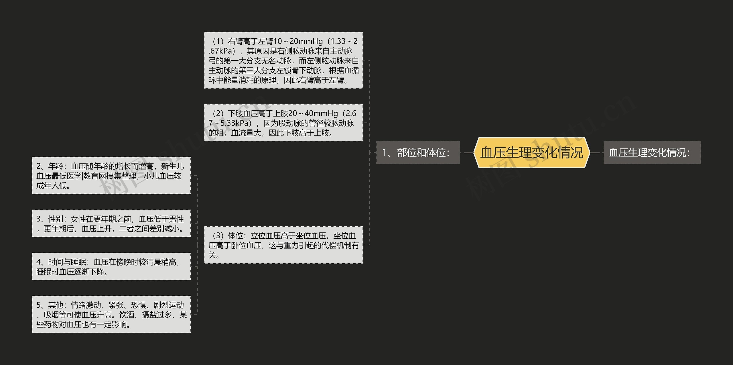 血压生理变化情况