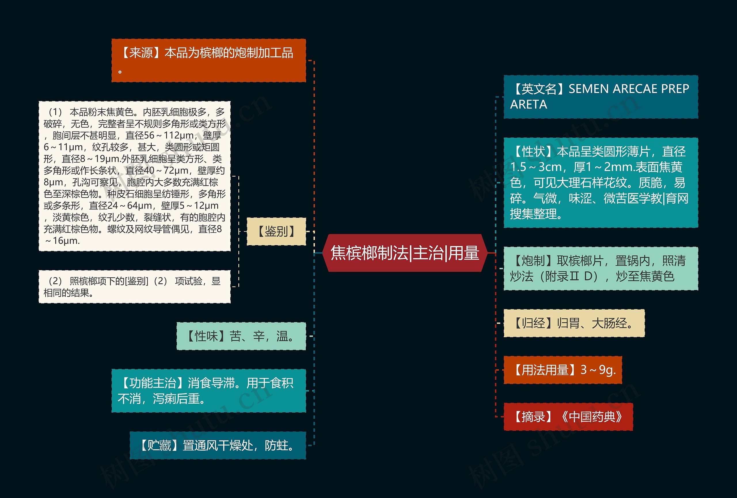 焦槟榔制法|主治|用量思维导图