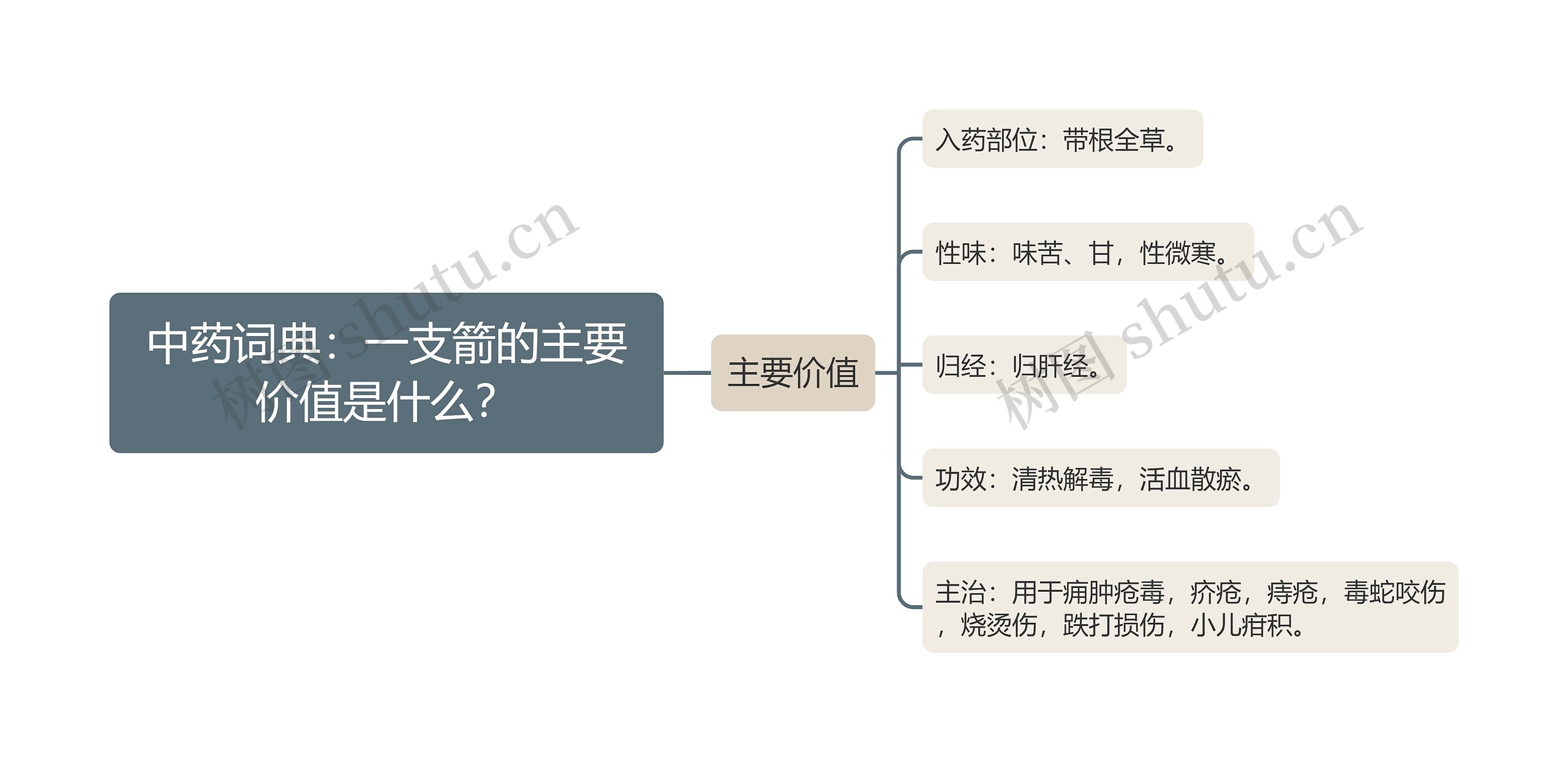 中药词典：一支箭的主要价值是什么？思维导图