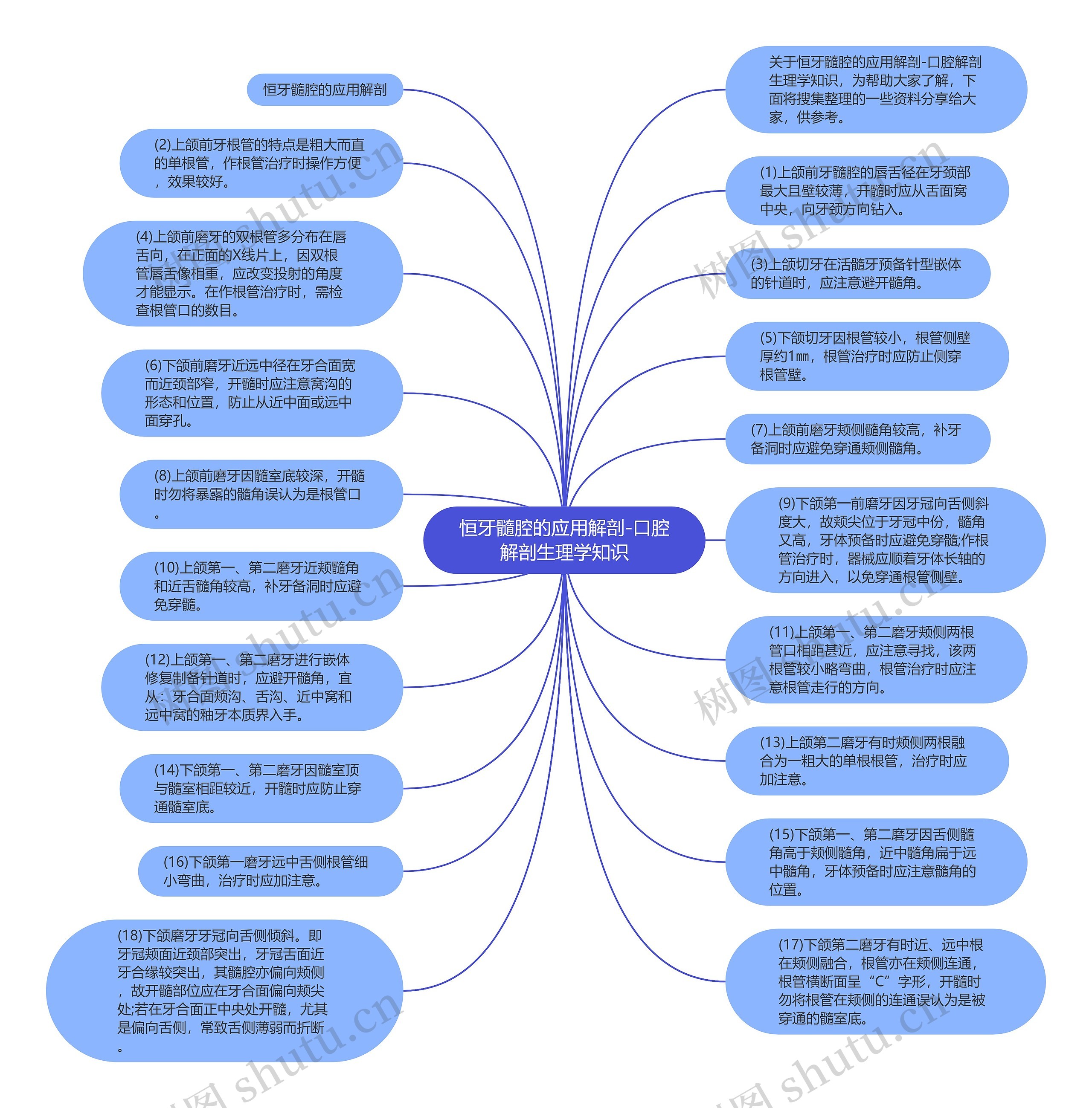 恒牙髓腔的应用解剖-口腔解剖生理学知识