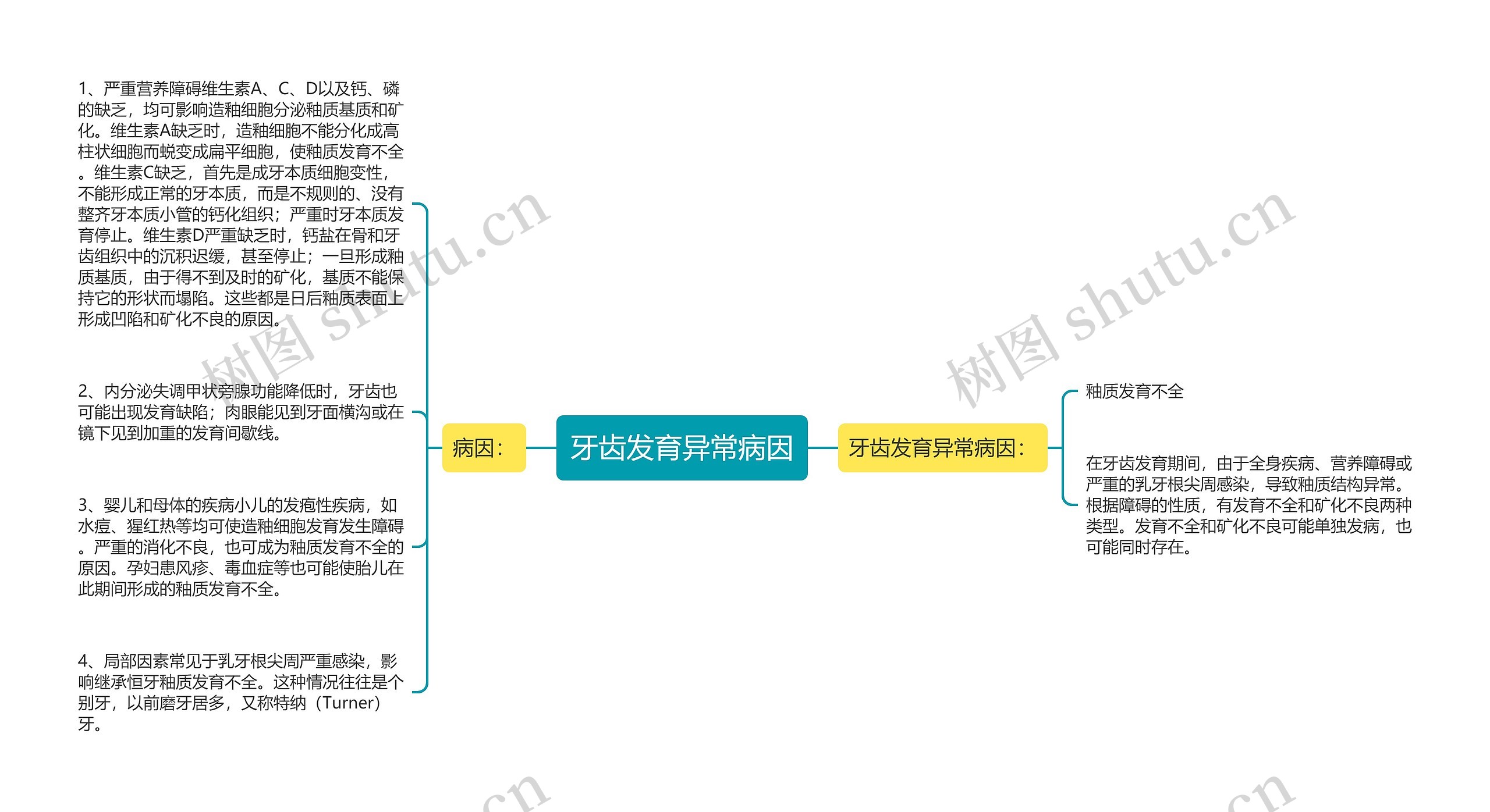 牙齿发育异常病因