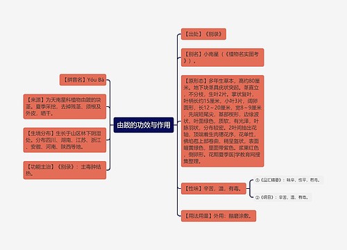 由跋的功效与作用