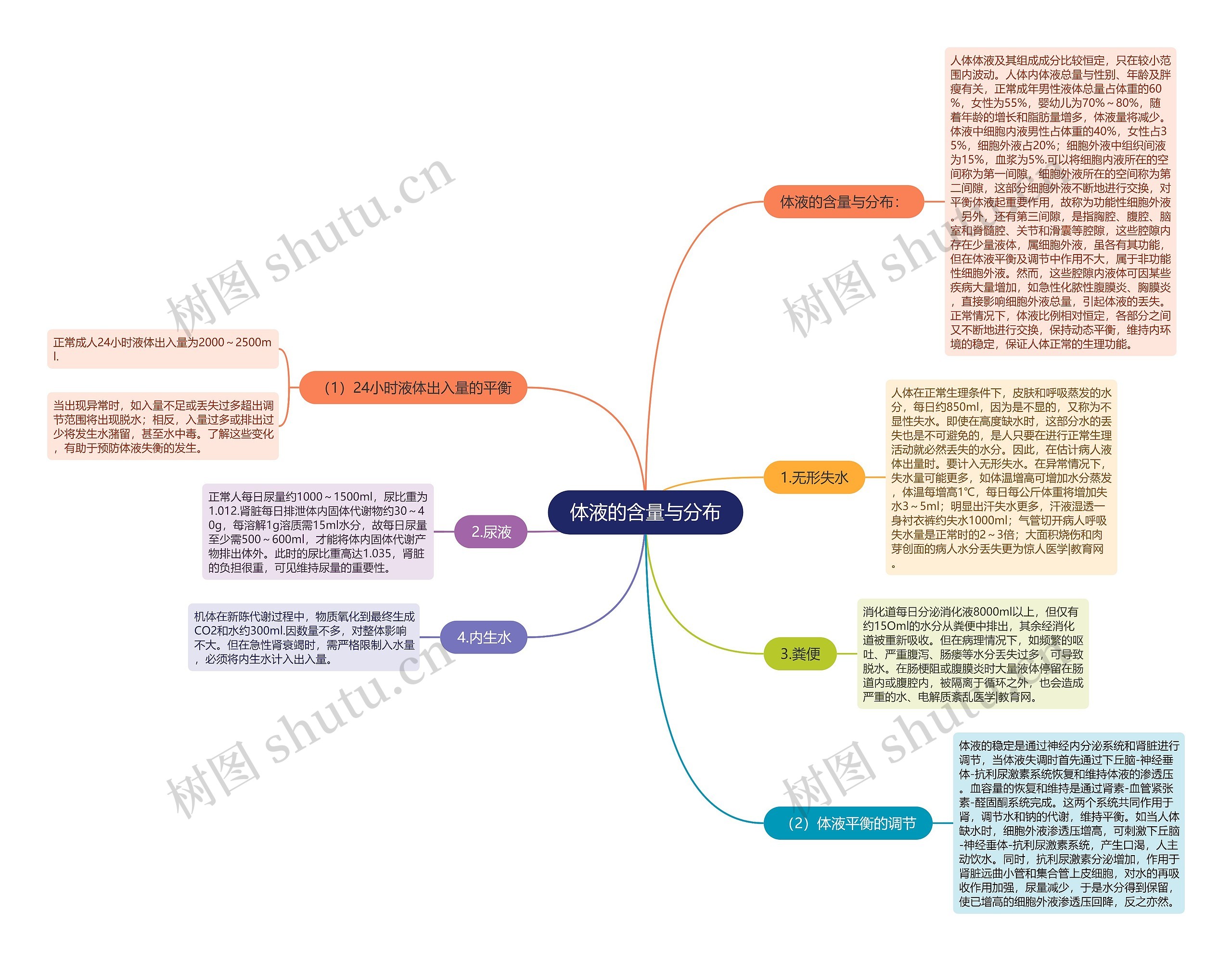 体液的含量与分布思维导图