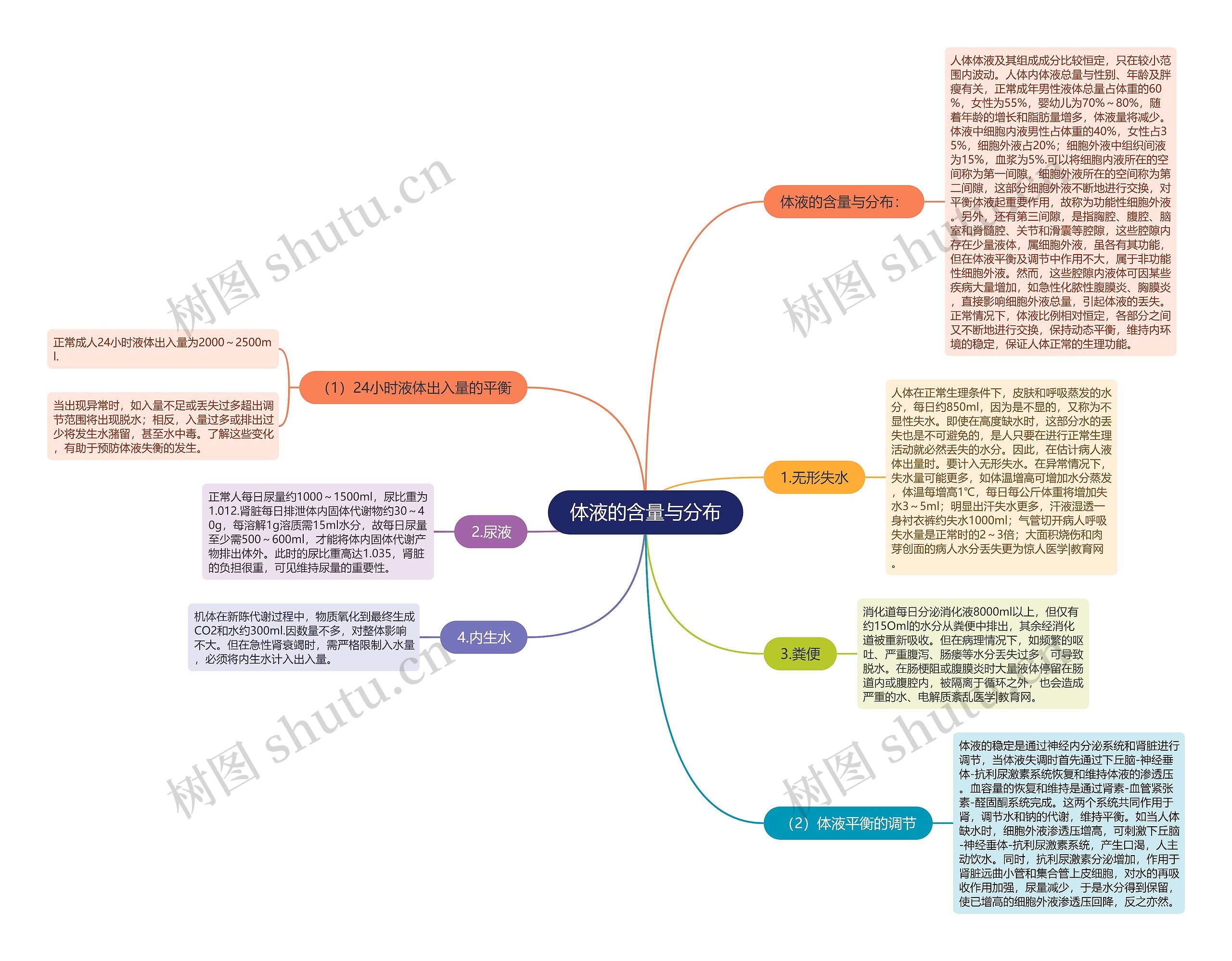 体液的含量与分布 体液的含量与分布