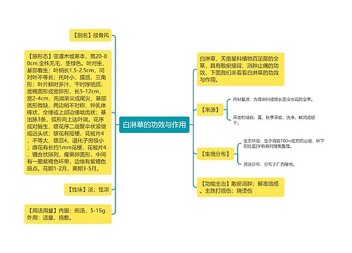 白淋草的功效与作用