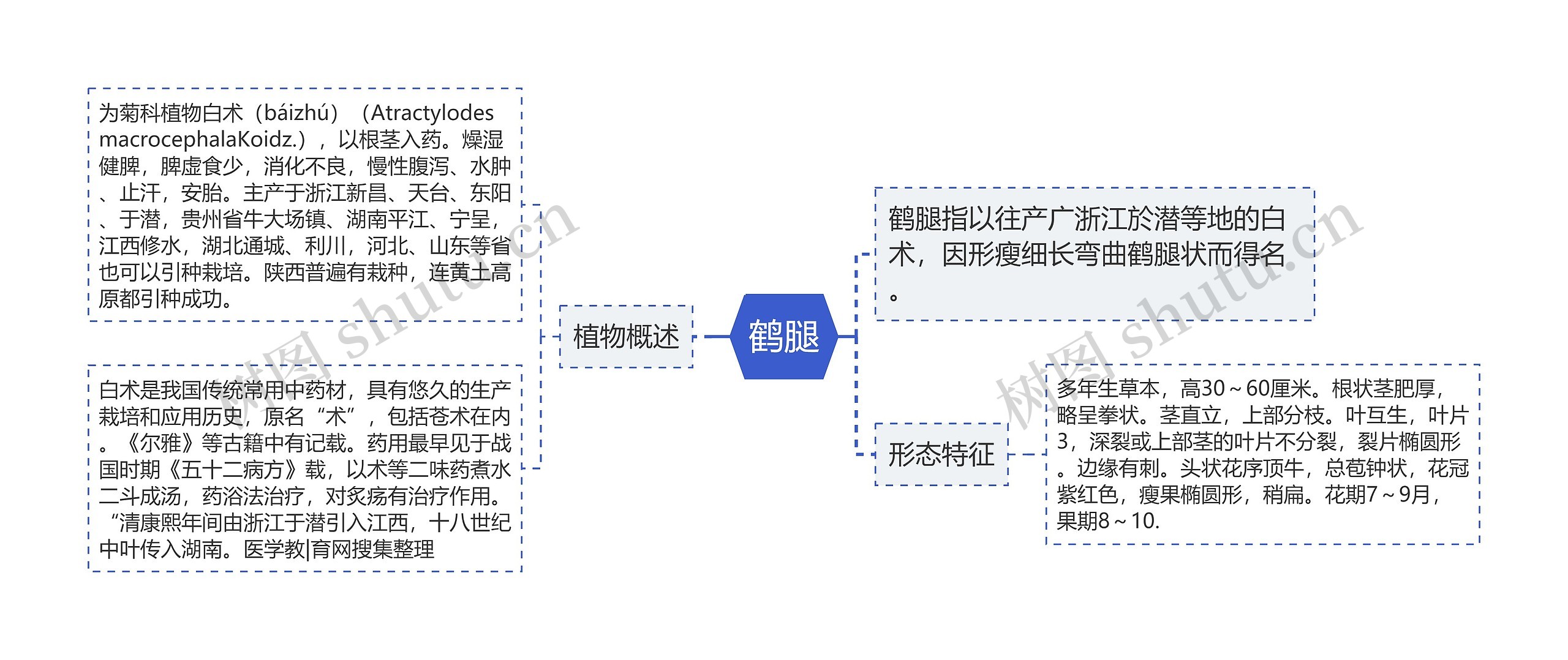 鹤腿思维导图