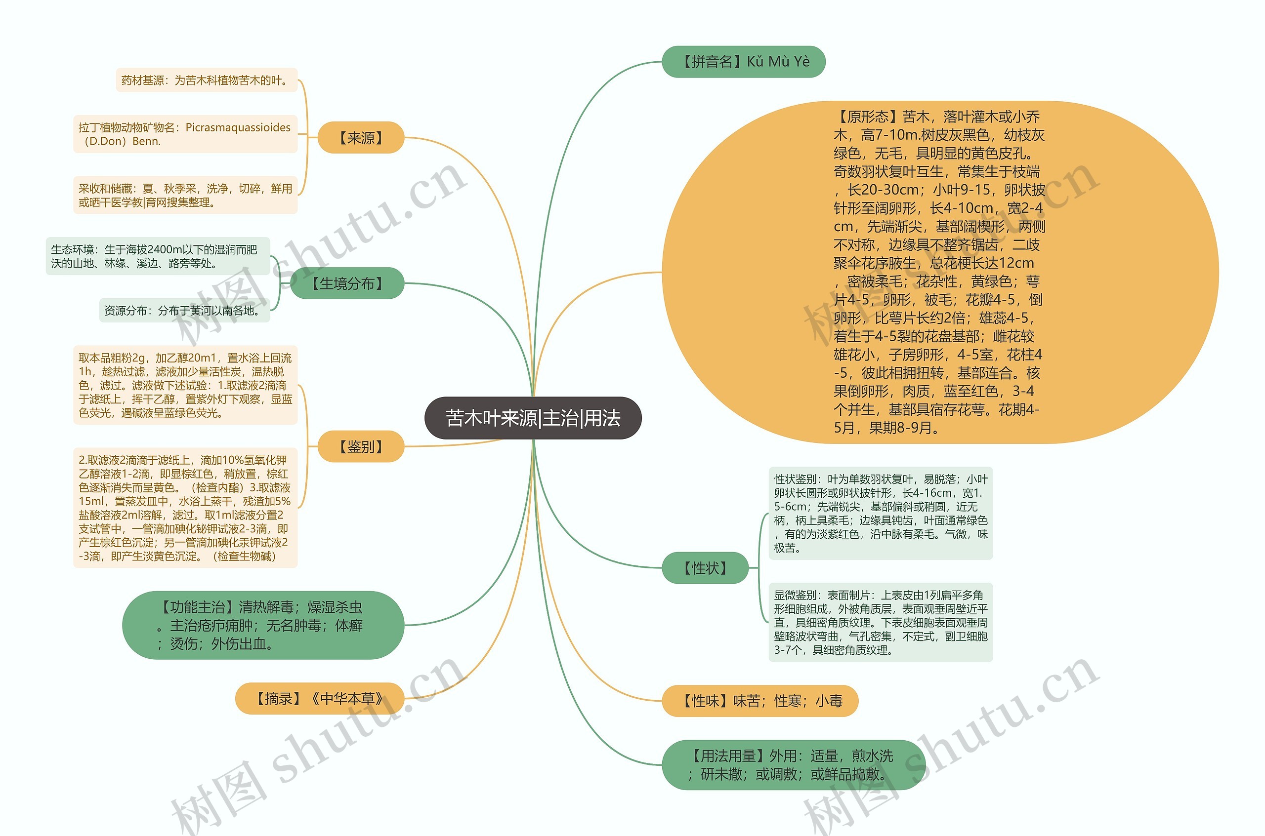 苦木叶来源|主治|用法思维导图