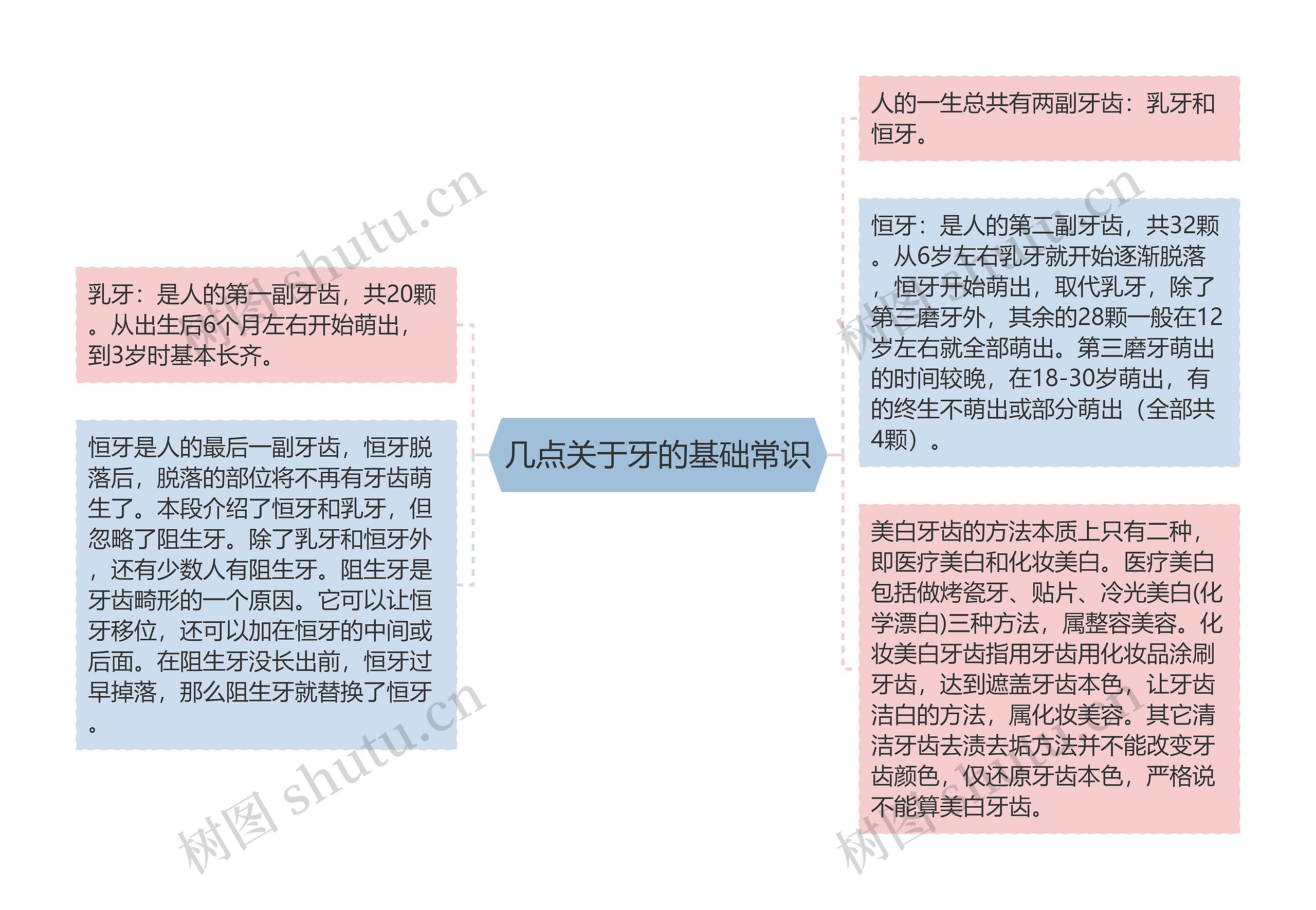 几点关于牙的基础常识思维导图