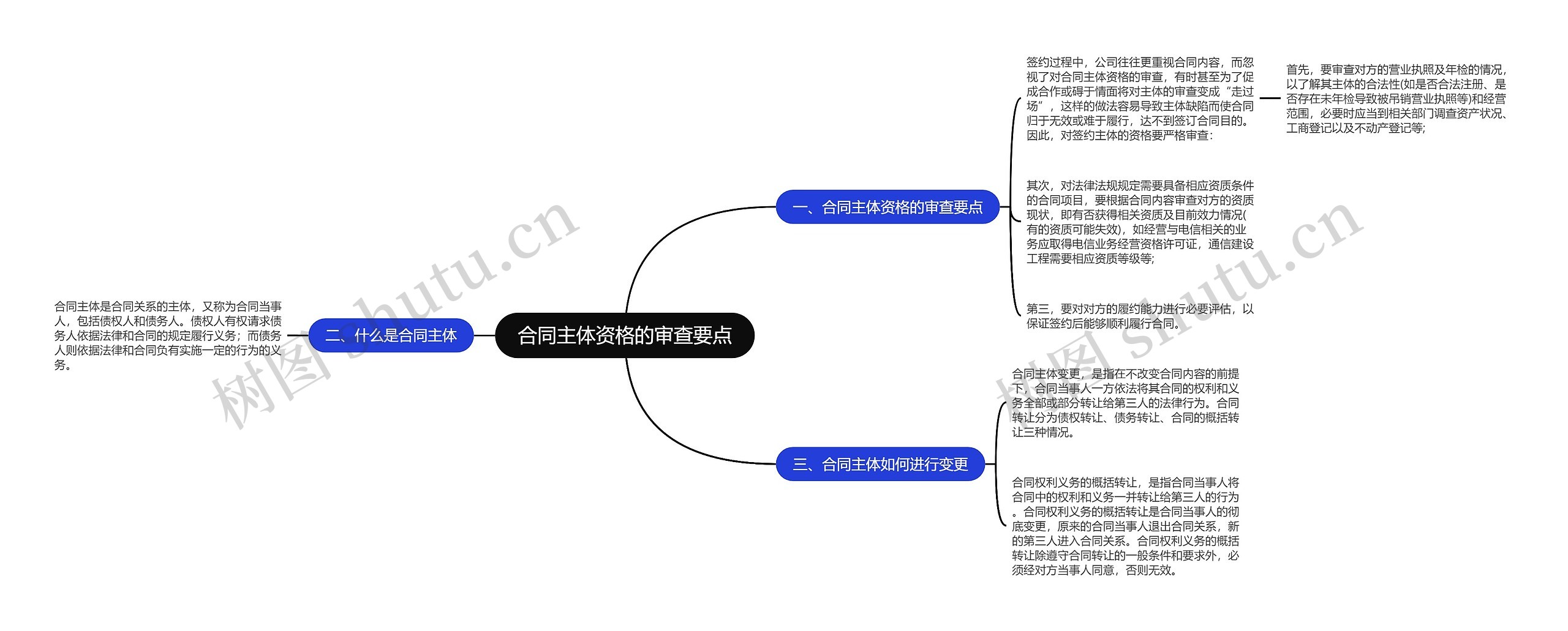 合同主体资格的审查要点思维导图