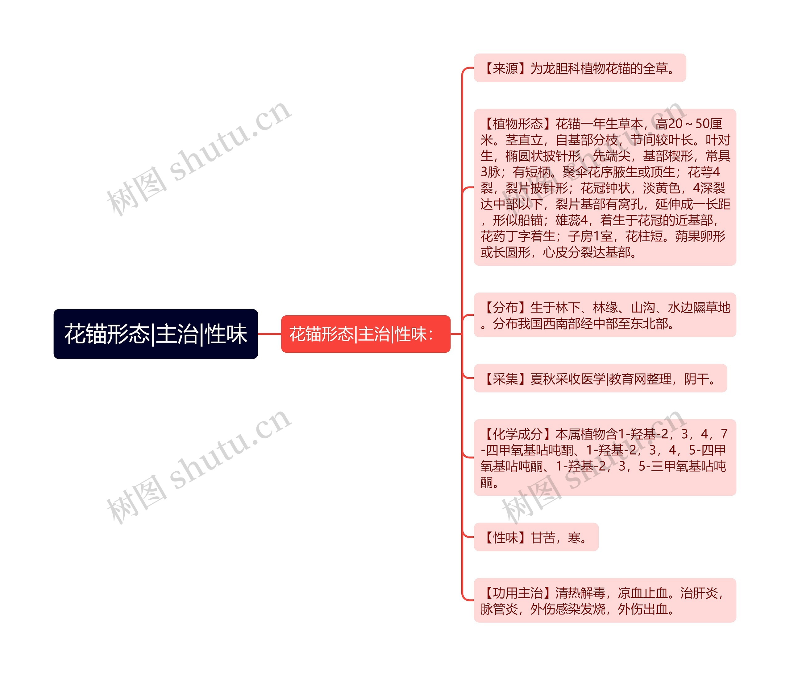 花锚形态|主治|性味思维导图