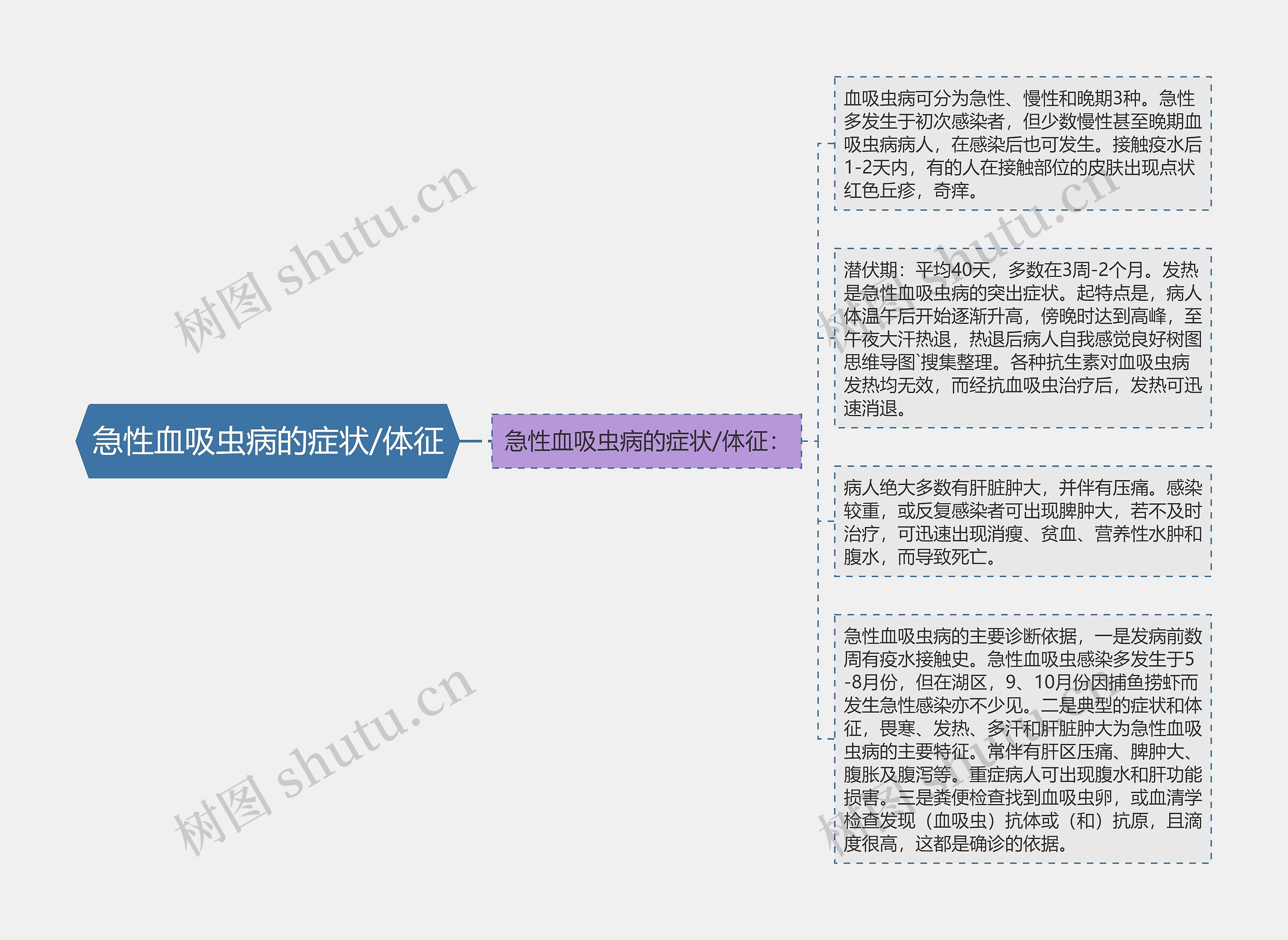 急性血吸虫病的症状/体征