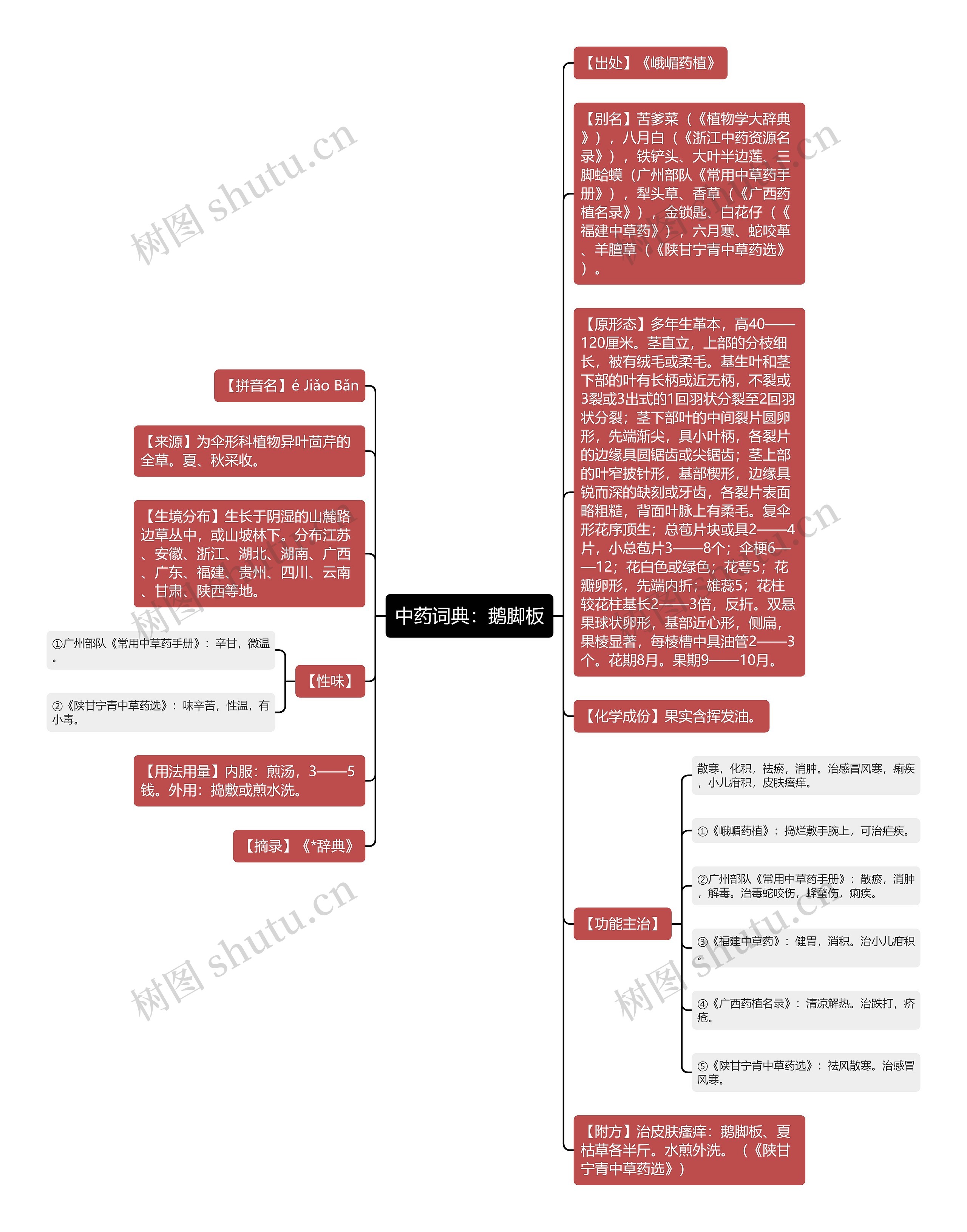 中药词典：鹅脚板