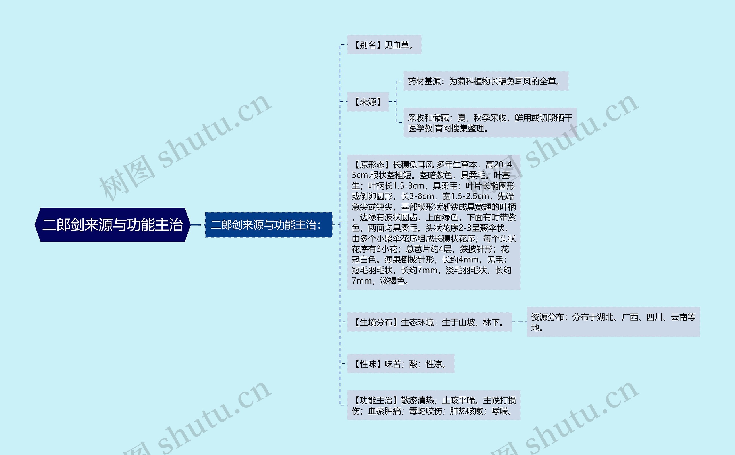 二郎剑来源与功能主治