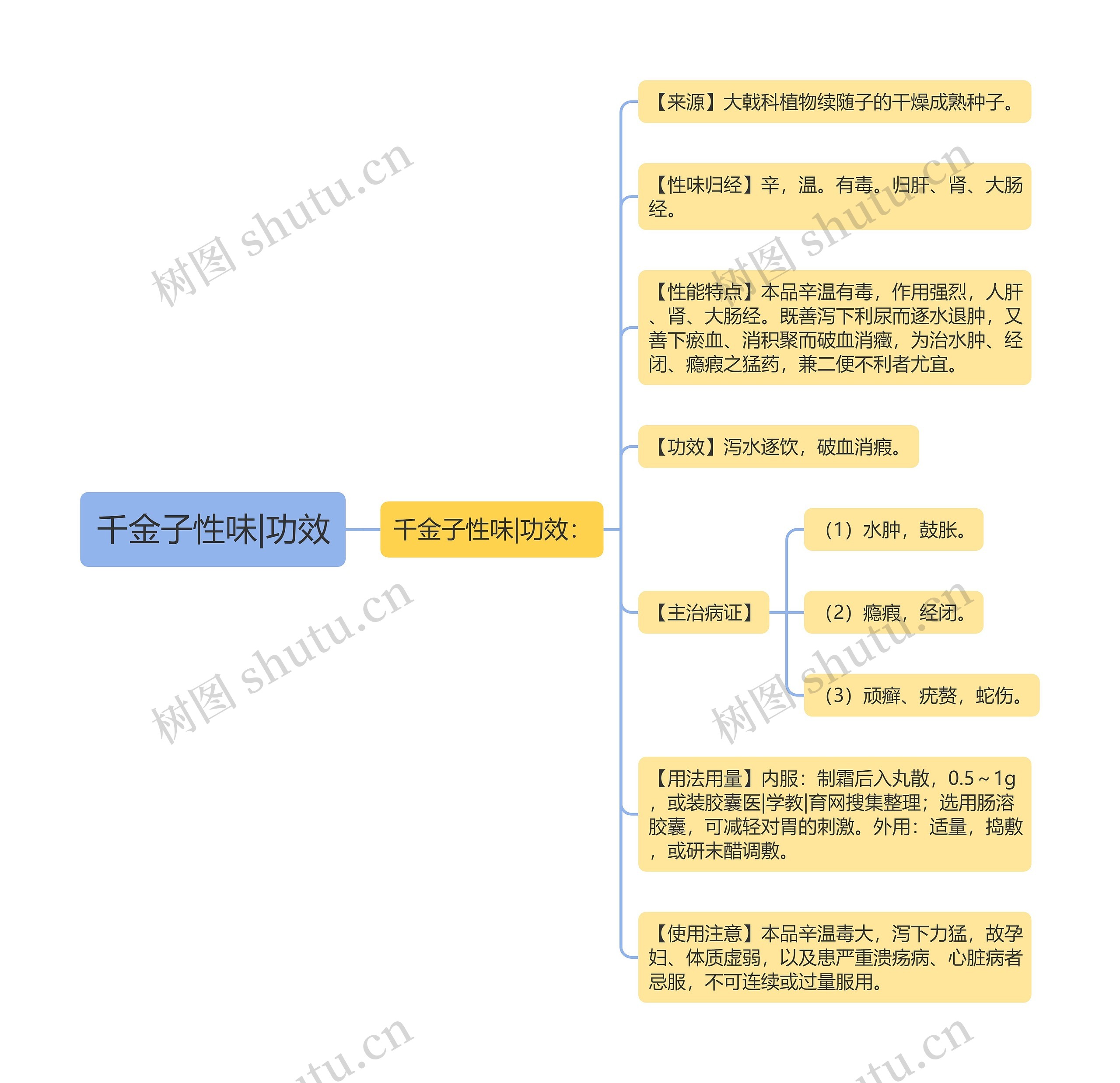 千金子性味|功效思维导图