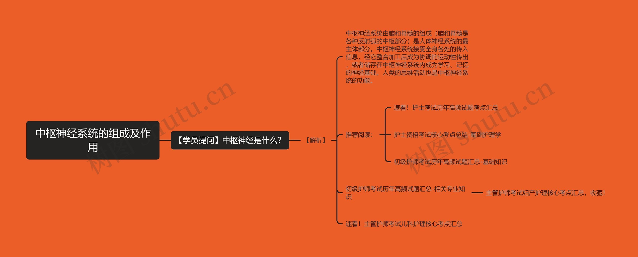 中枢神经系统的组成及作用思维导图