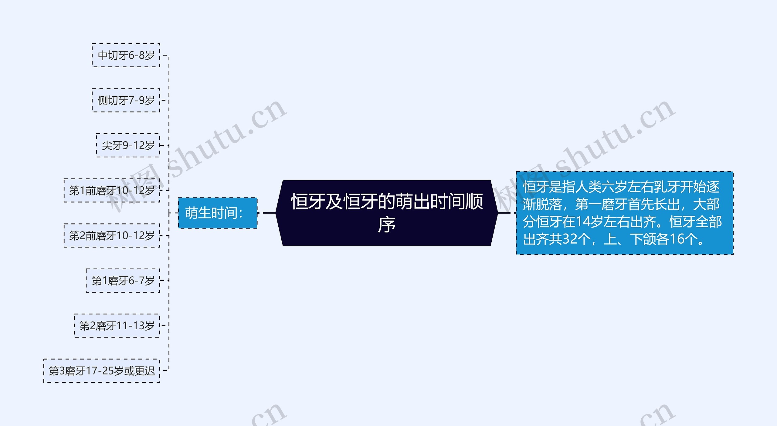 恒牙及恒牙的萌出时间顺序 恒牙及恒牙的萌出时间顺序